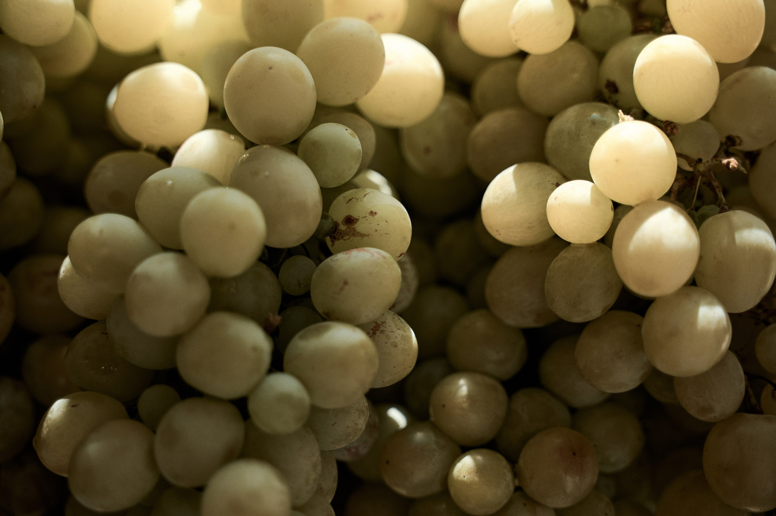 Свадебная съемка Брянск Москва Свадебный фотограф фотограф на свадьбу  фотограф Орел. Свадебный и портретный фотограф в Брянске Скепская Лилия