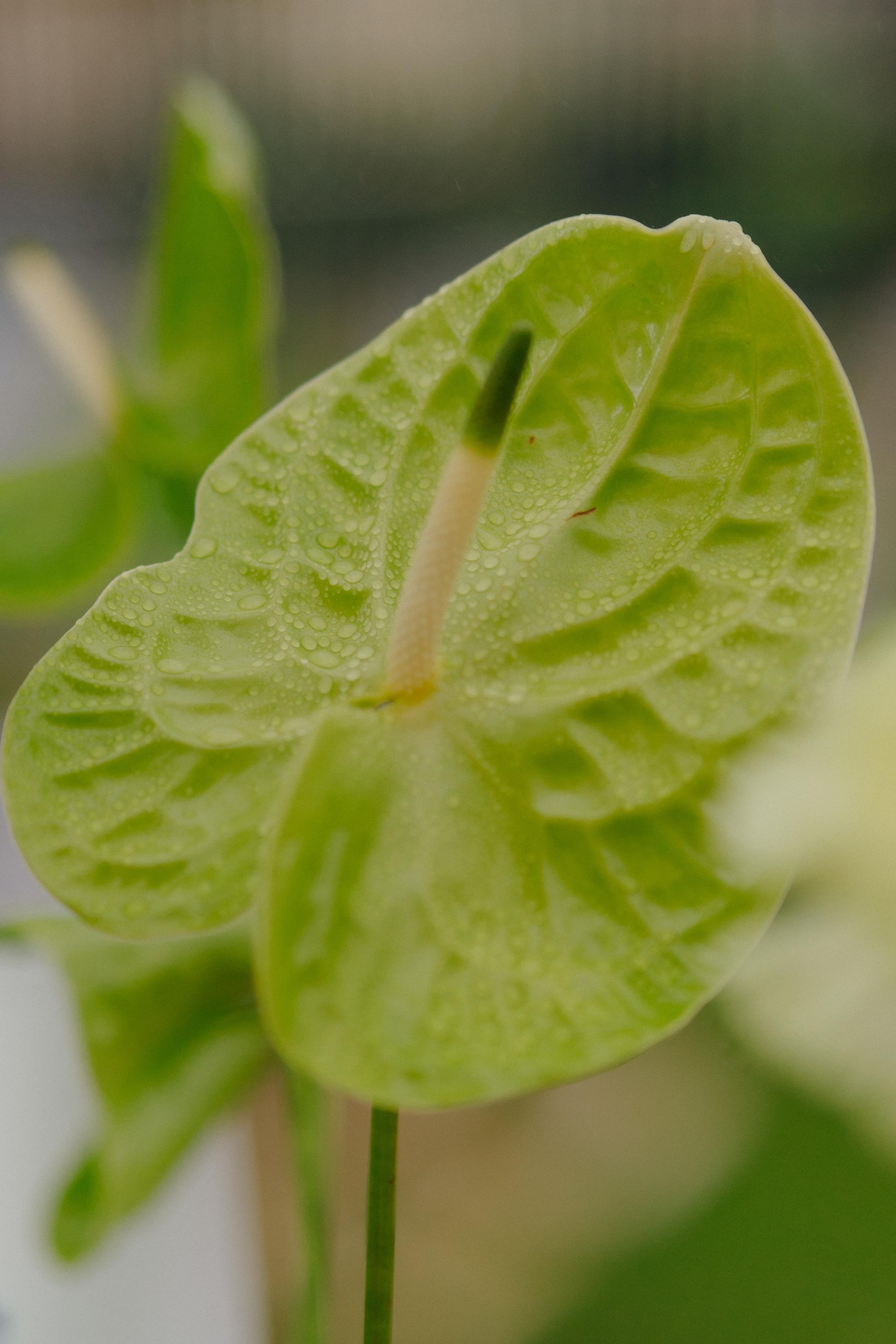 Открытие поликлиники на Патриках. Свадебный фотограф Москва и другие города