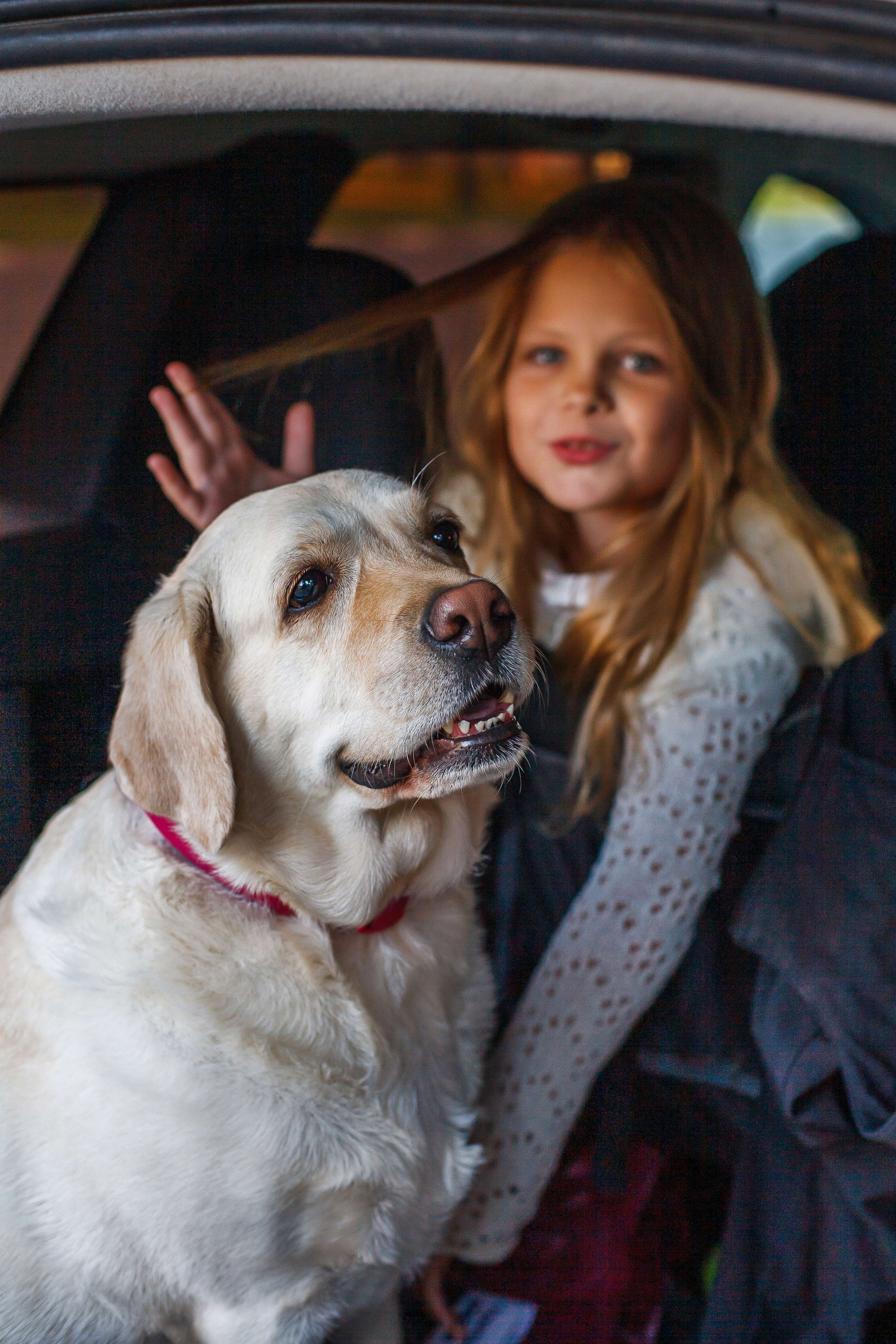 Семья Герасимовых. Фотограф Челябинск · Ольга Серебрякова