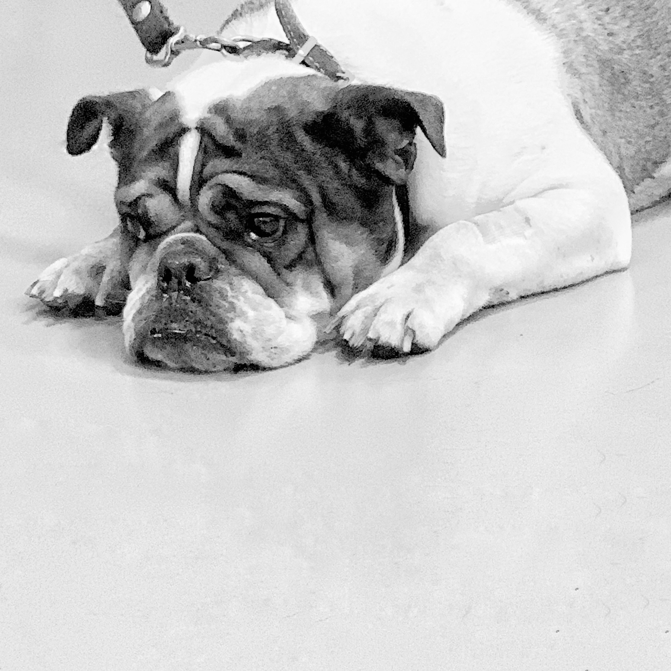 2022. Тащилин Сергей. Фотографии. Жизнь. Хобби