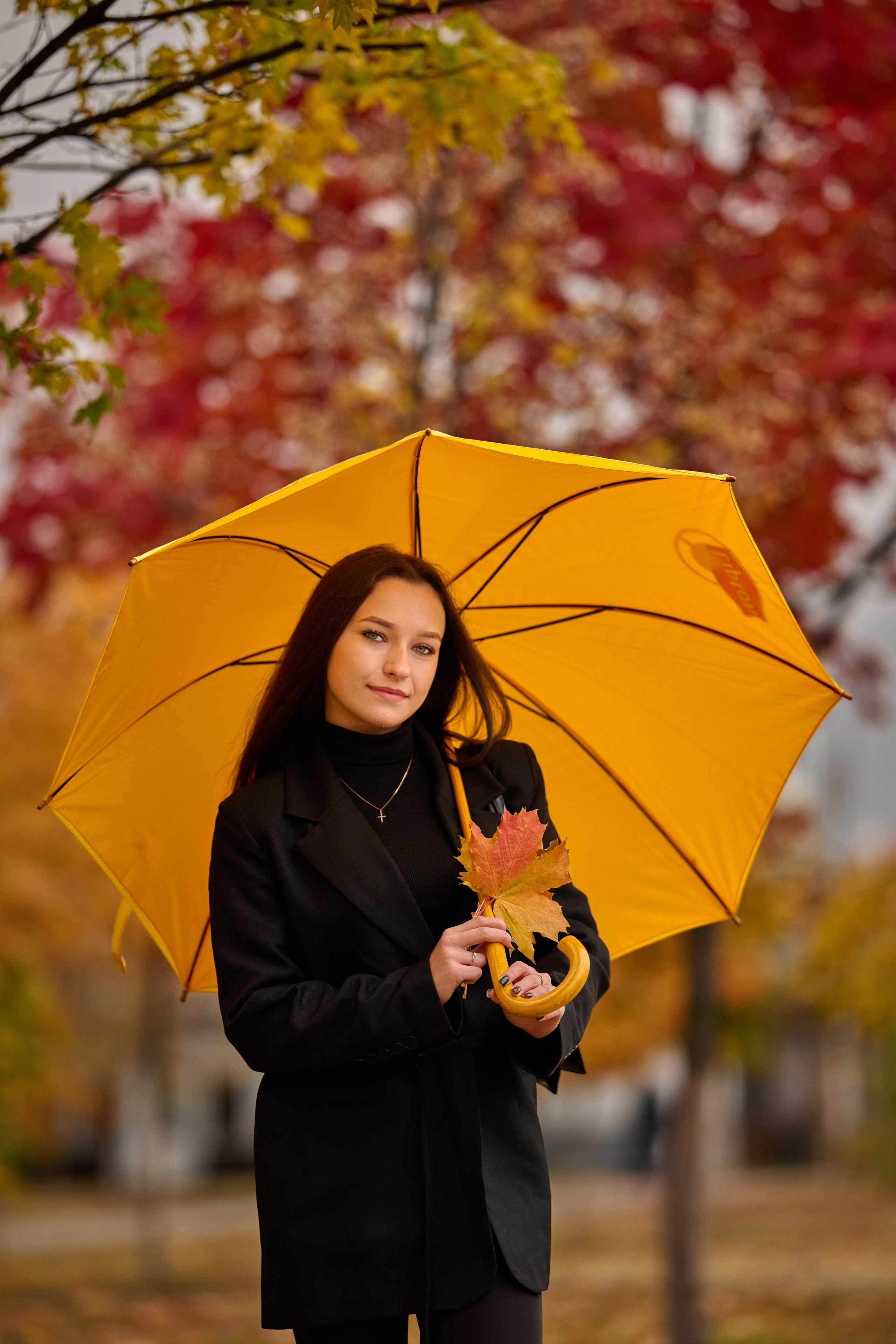 Золотая осень в Старом Осколе