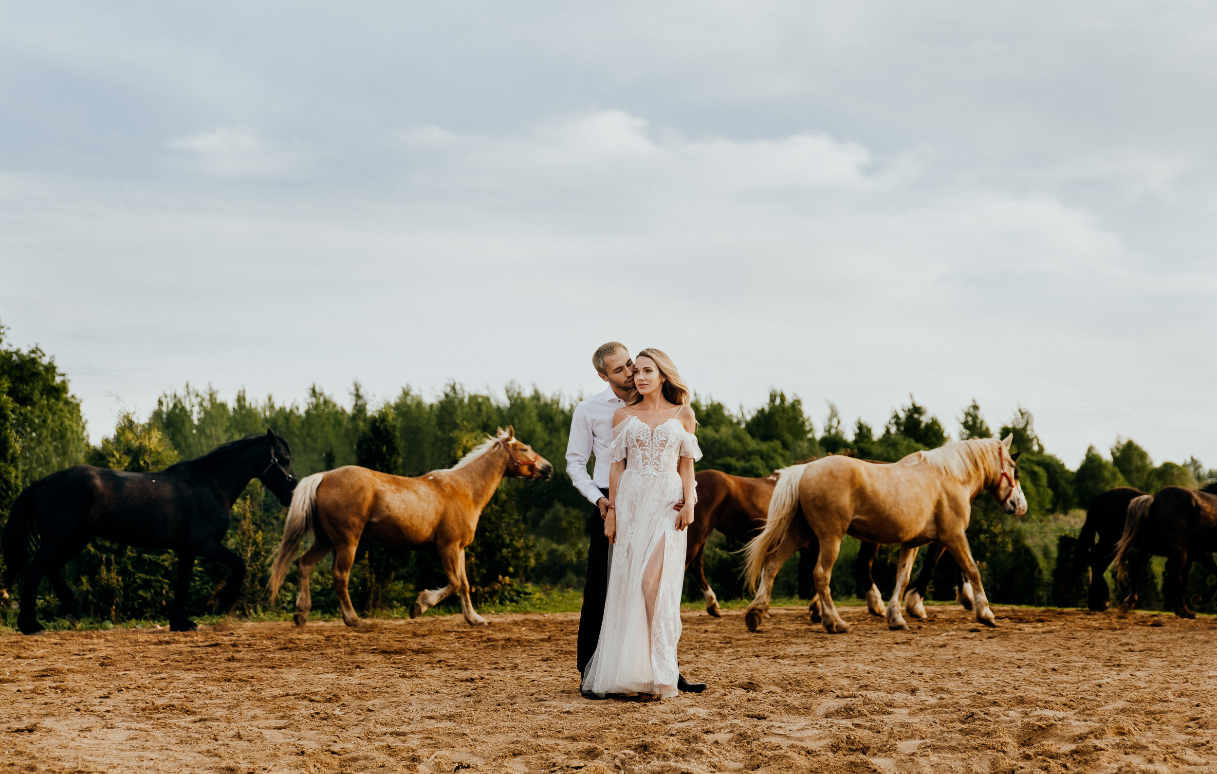 Жених и невеста стоят в обнимку на фоне табун лошадей