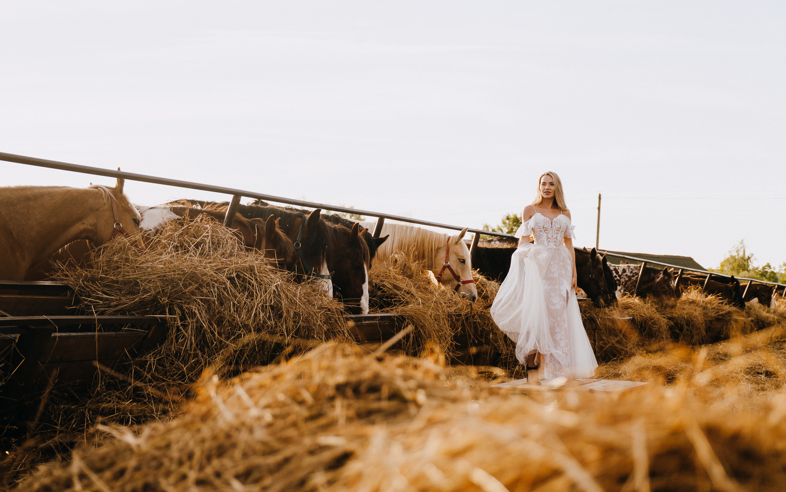 Свадебная фотосессия с лошадьми. Свадебный и семейный фотограф в Москве Андрасюк Елена