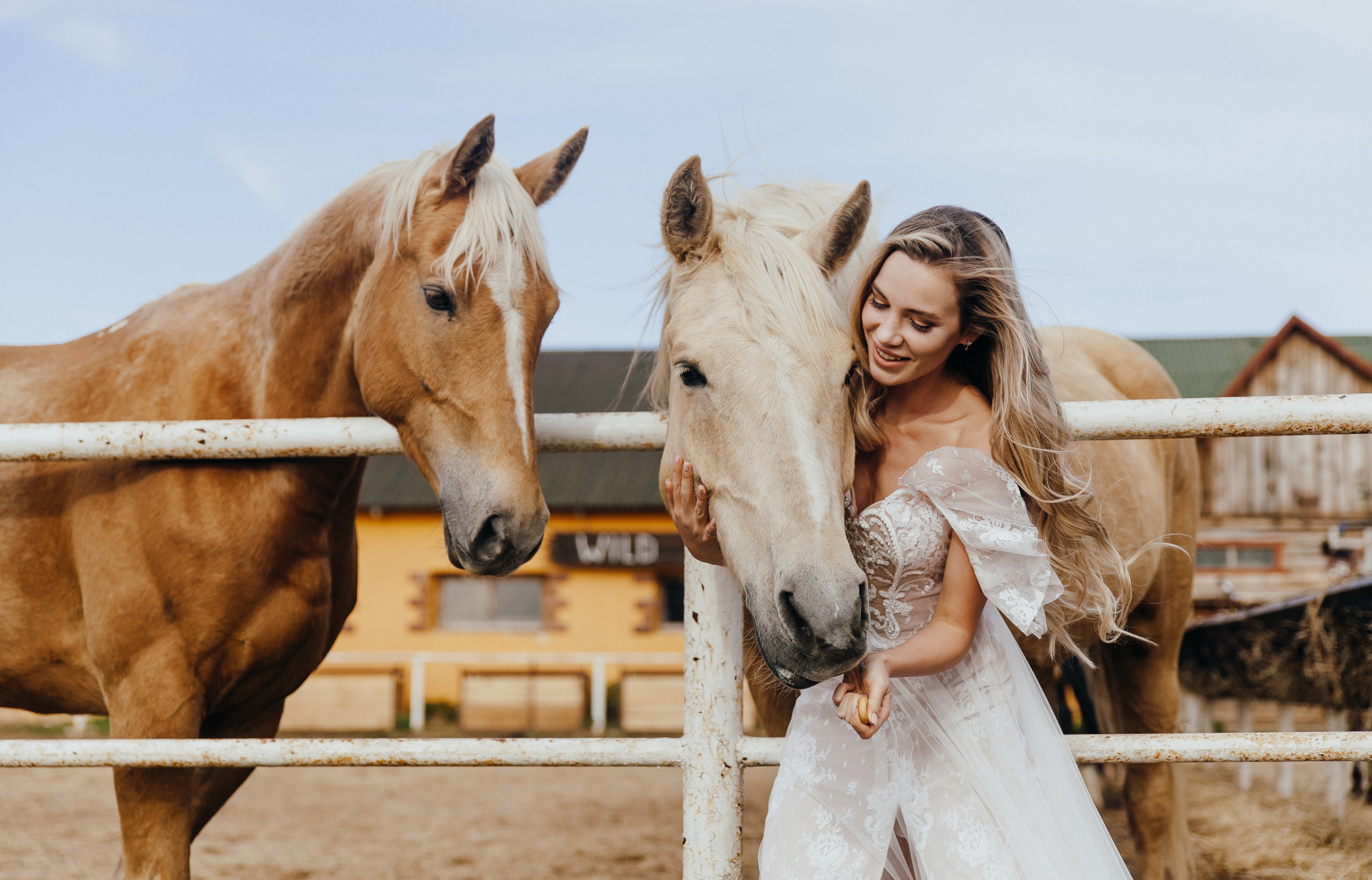 Свадебная фотосессия с лошадьми. Свадебный и семейный фотограф в Москве Андрасюк Елена