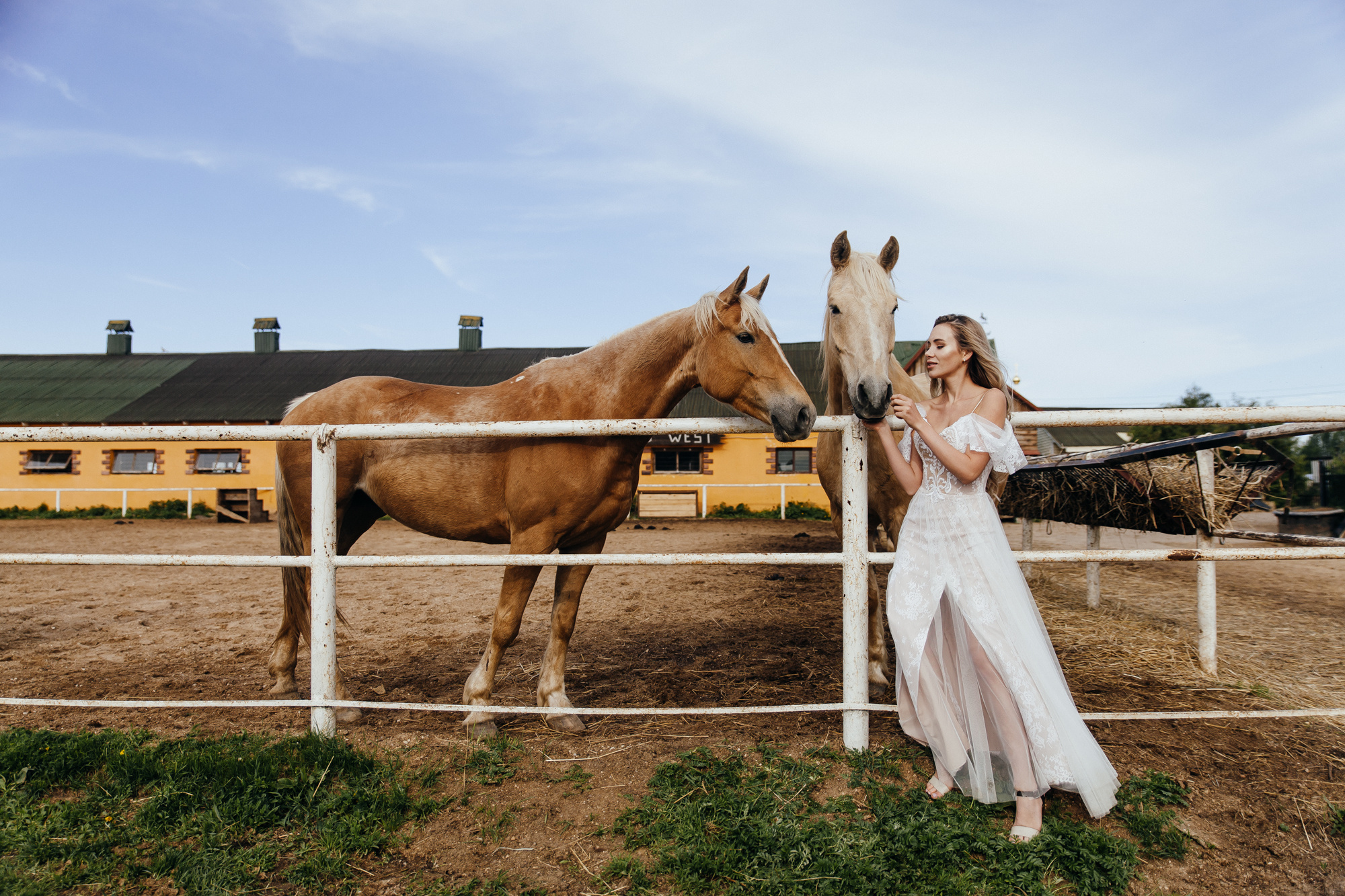 Свадебная фотосессия с лошадьми. Свадебный и семейный фотограф в Москве Андрасюк Елена
