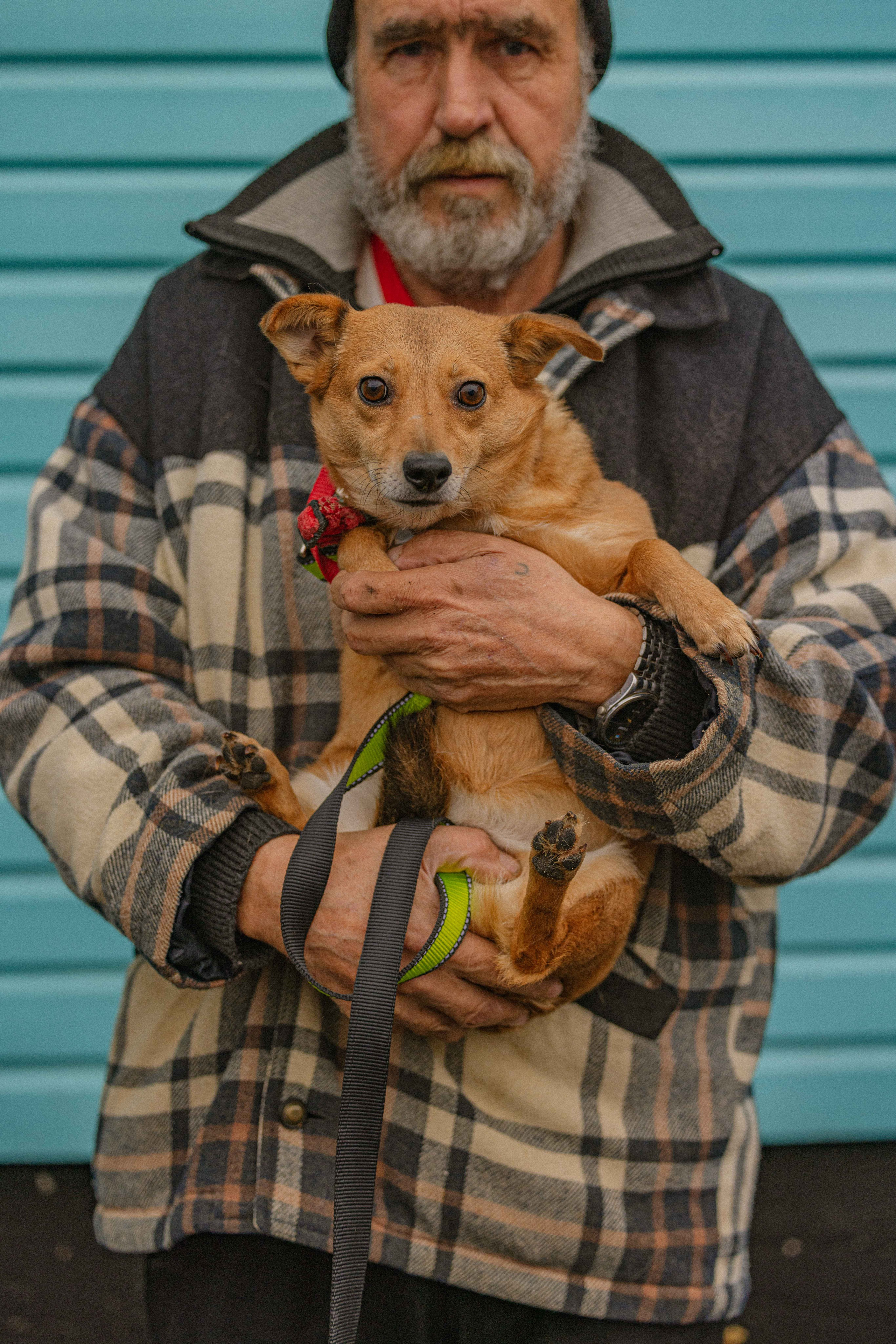 Передержка. Фотограф-анималист в Москве Лера Черноног