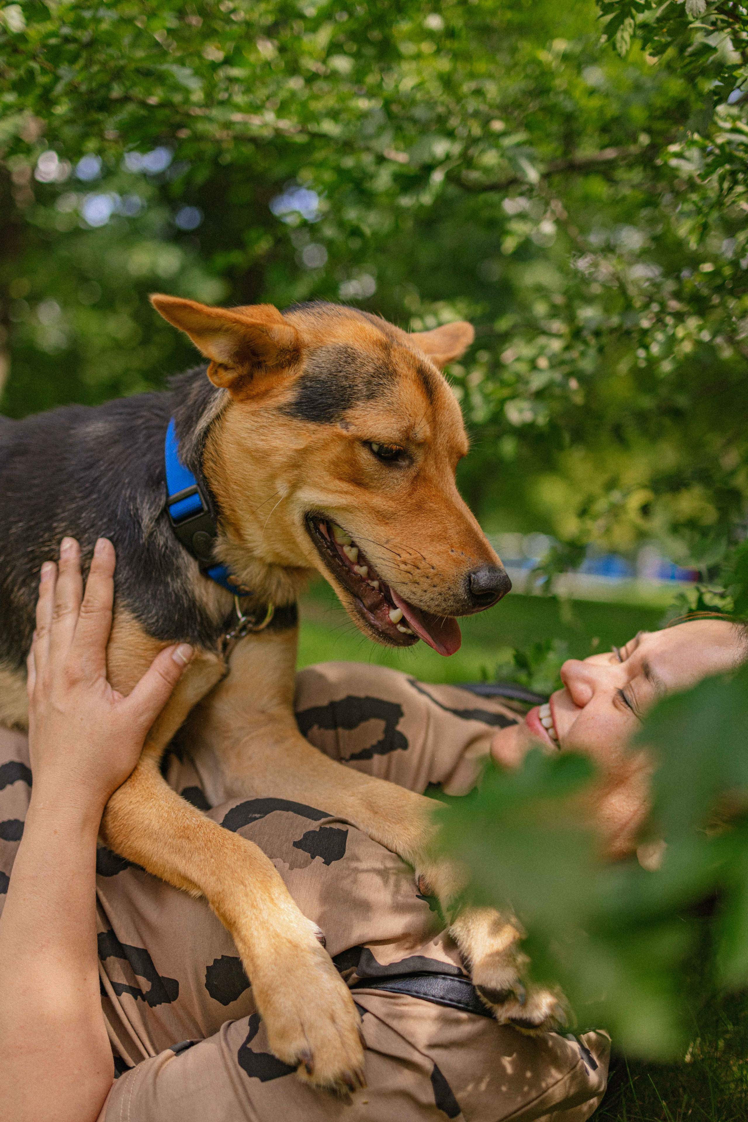 Джеки. Фотограф-анималист в Москве Лера Черноног
