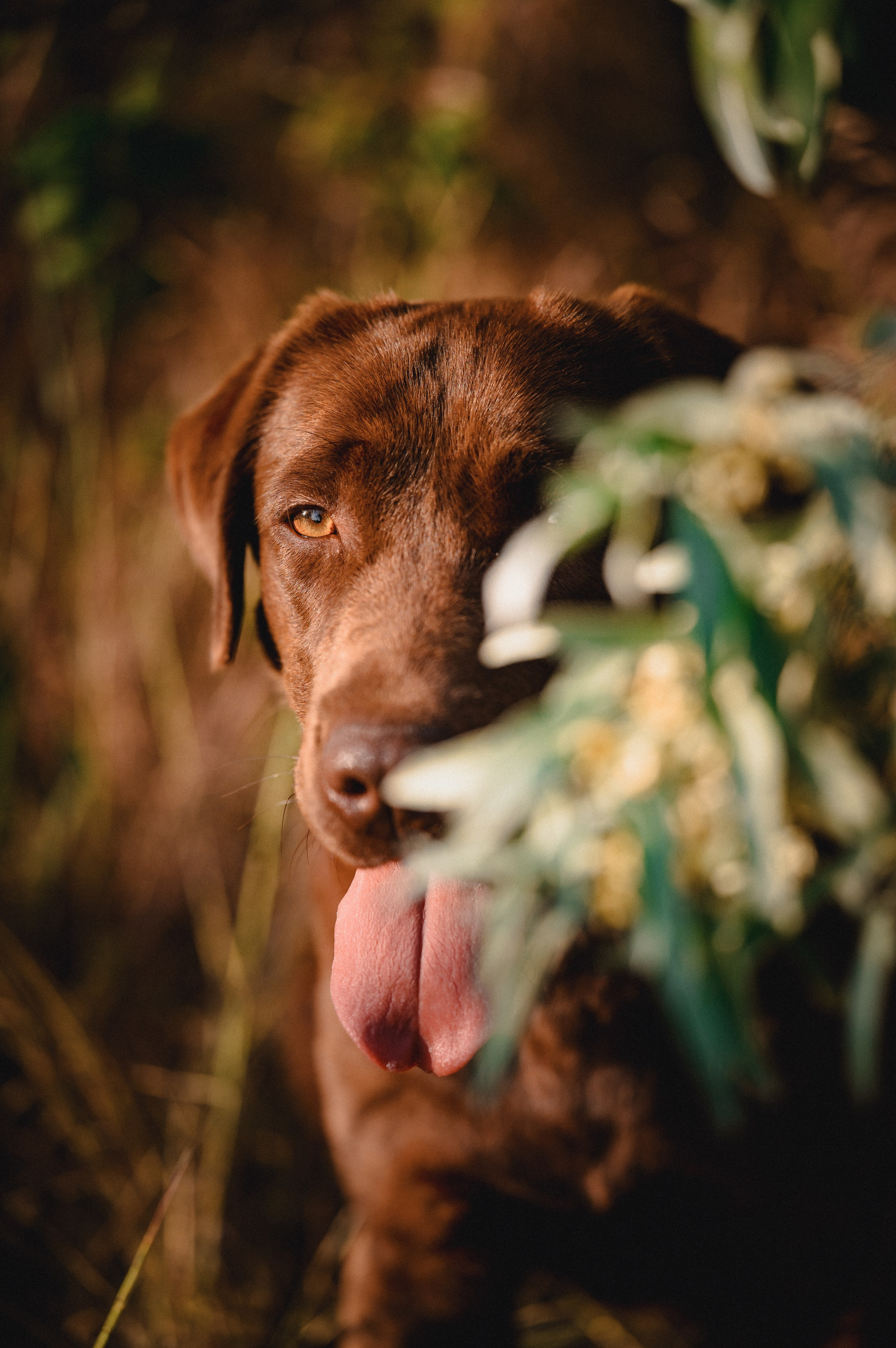 Анечка и Дэя. Фотограф в Ростове —на — Дону