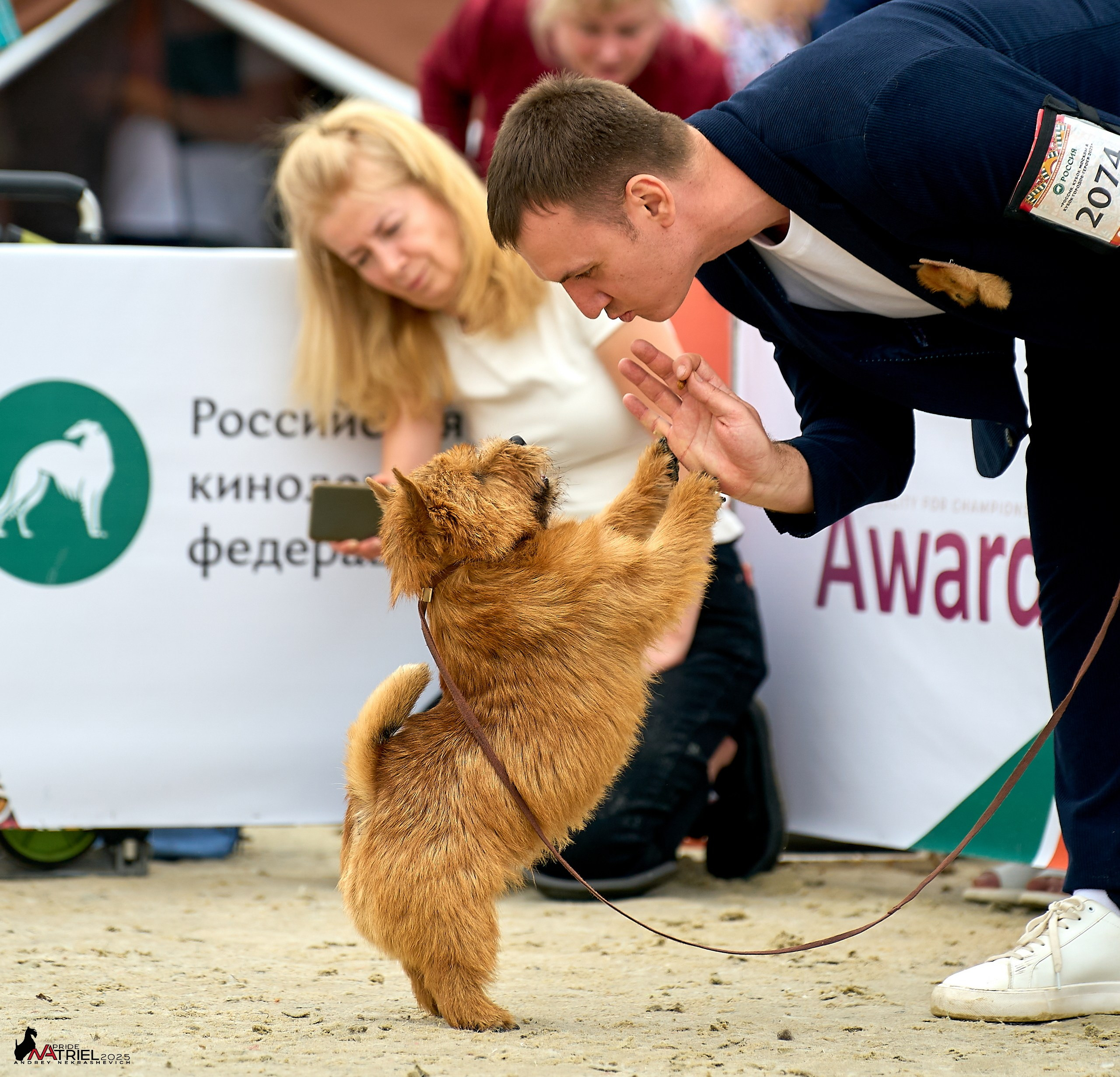 Выставка собак РОССИЯ — 2025