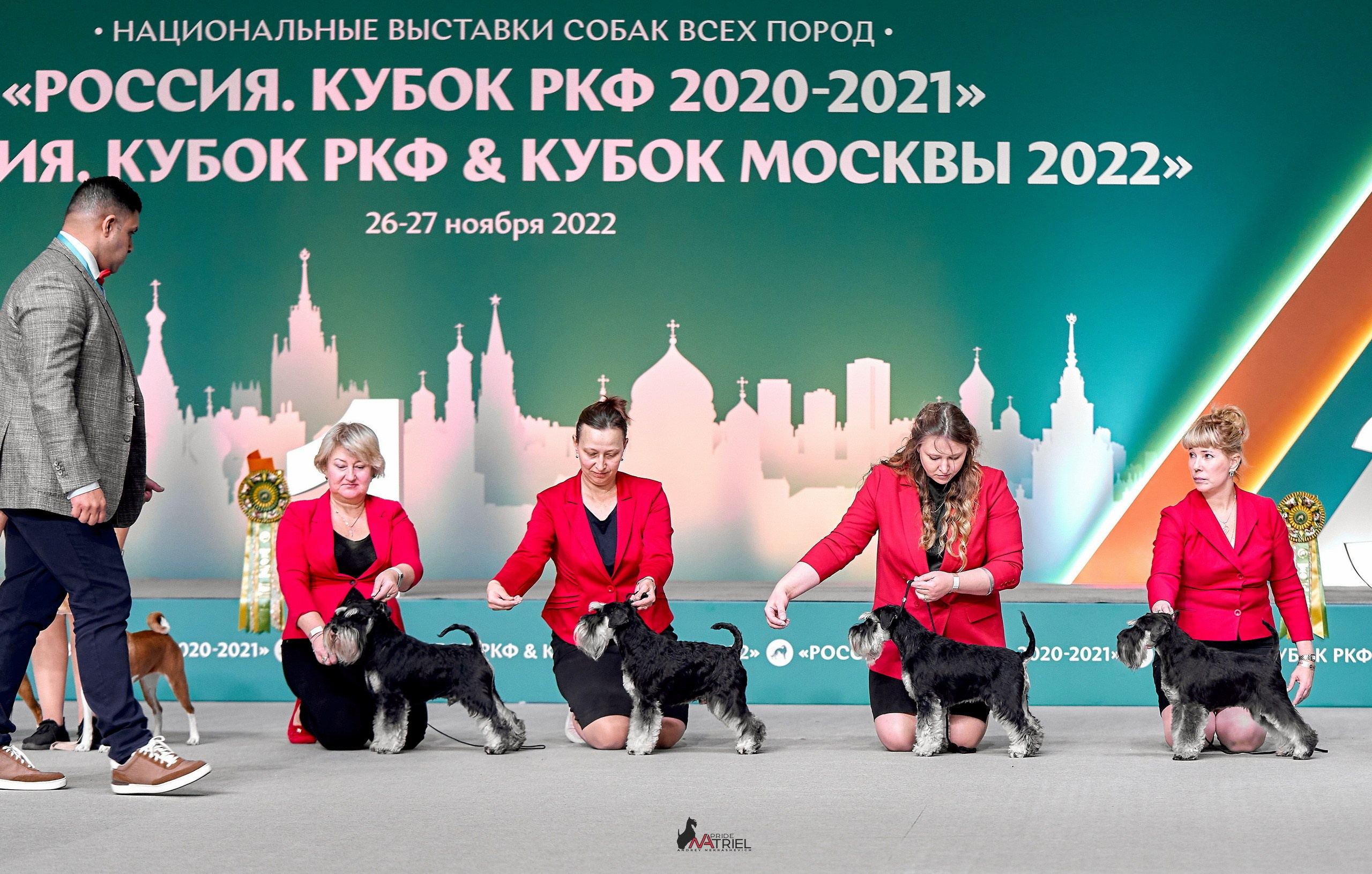 Работа в рингах — галерея NATRIEL