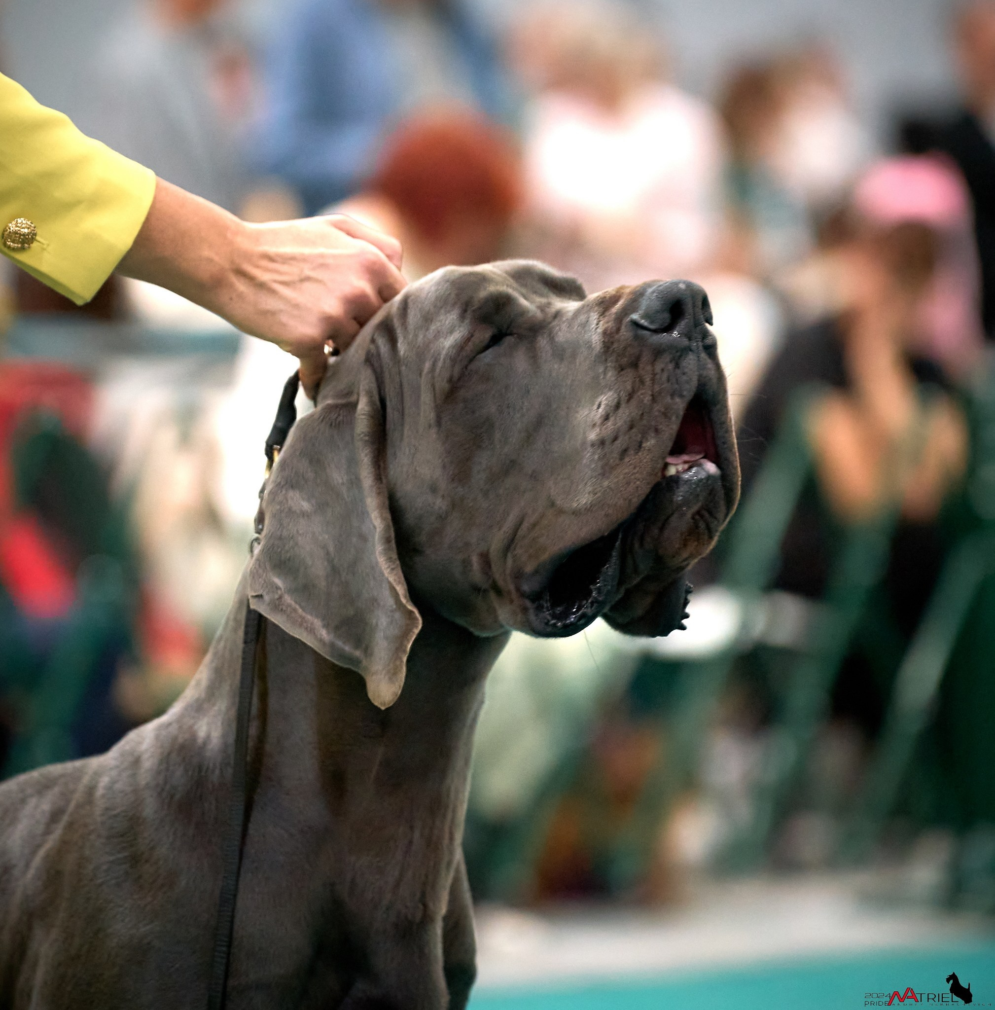 Съемка на выставке в Крокусе