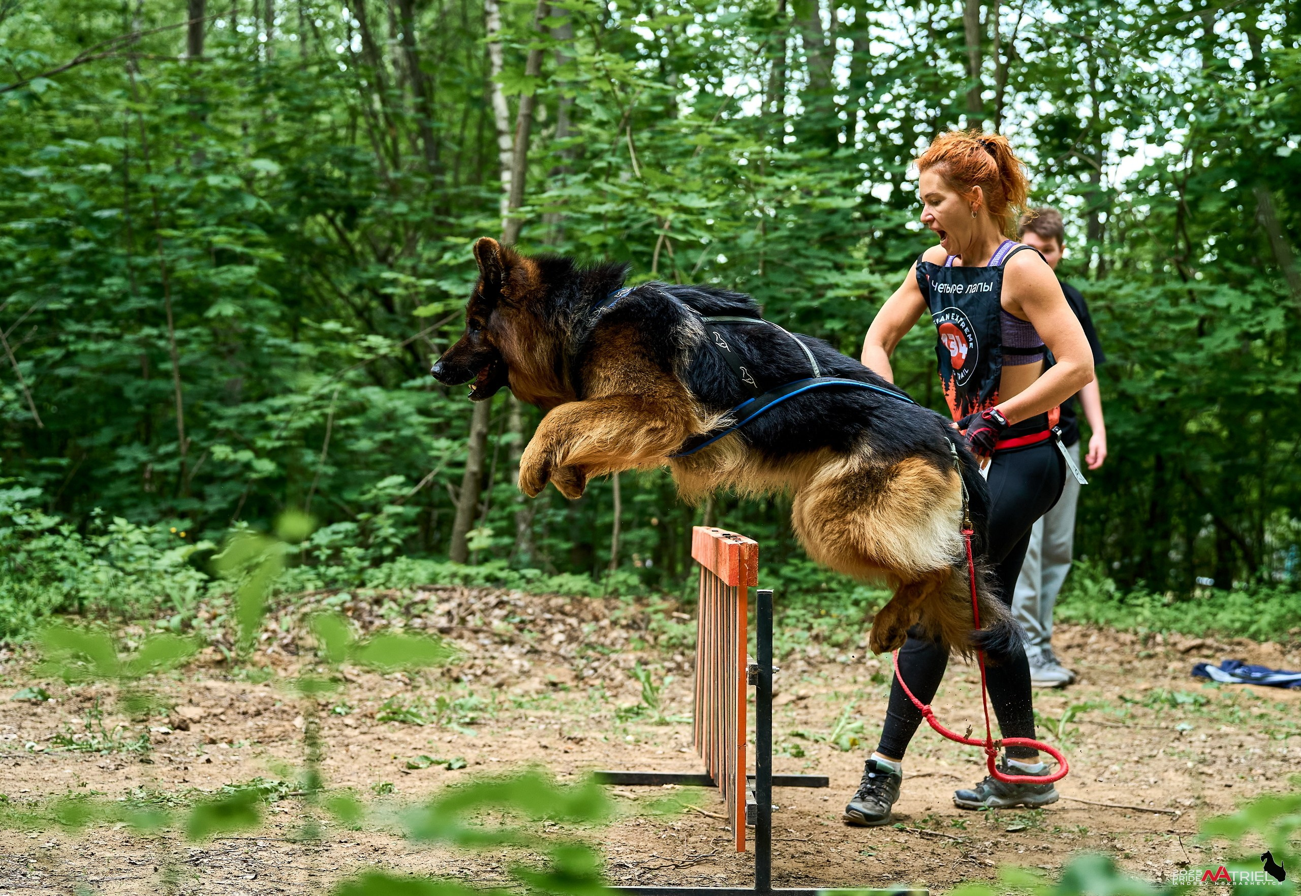 Russian Extreme Dog Trail — 2025