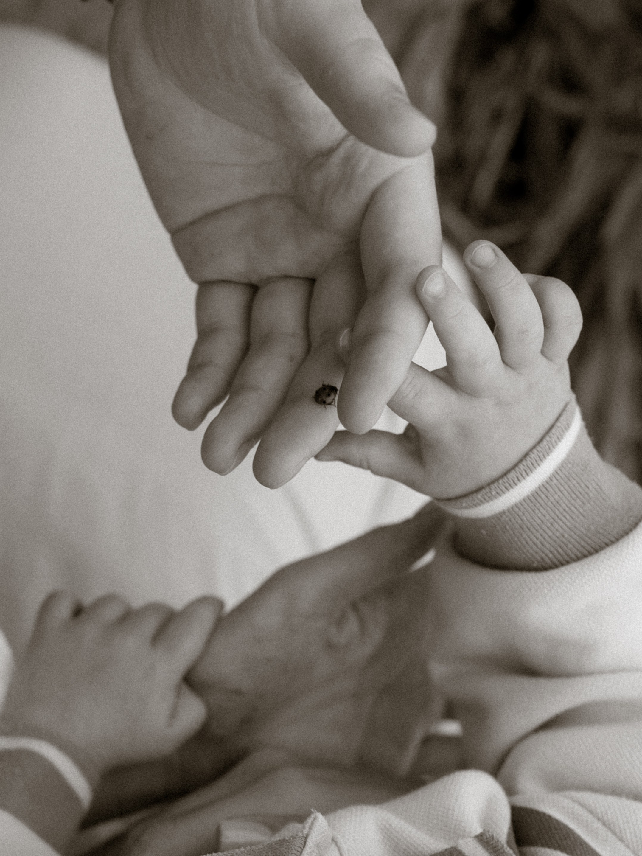 ♡. Фотограф во Владимире, Москве и Суздале-Виктория Чистякова