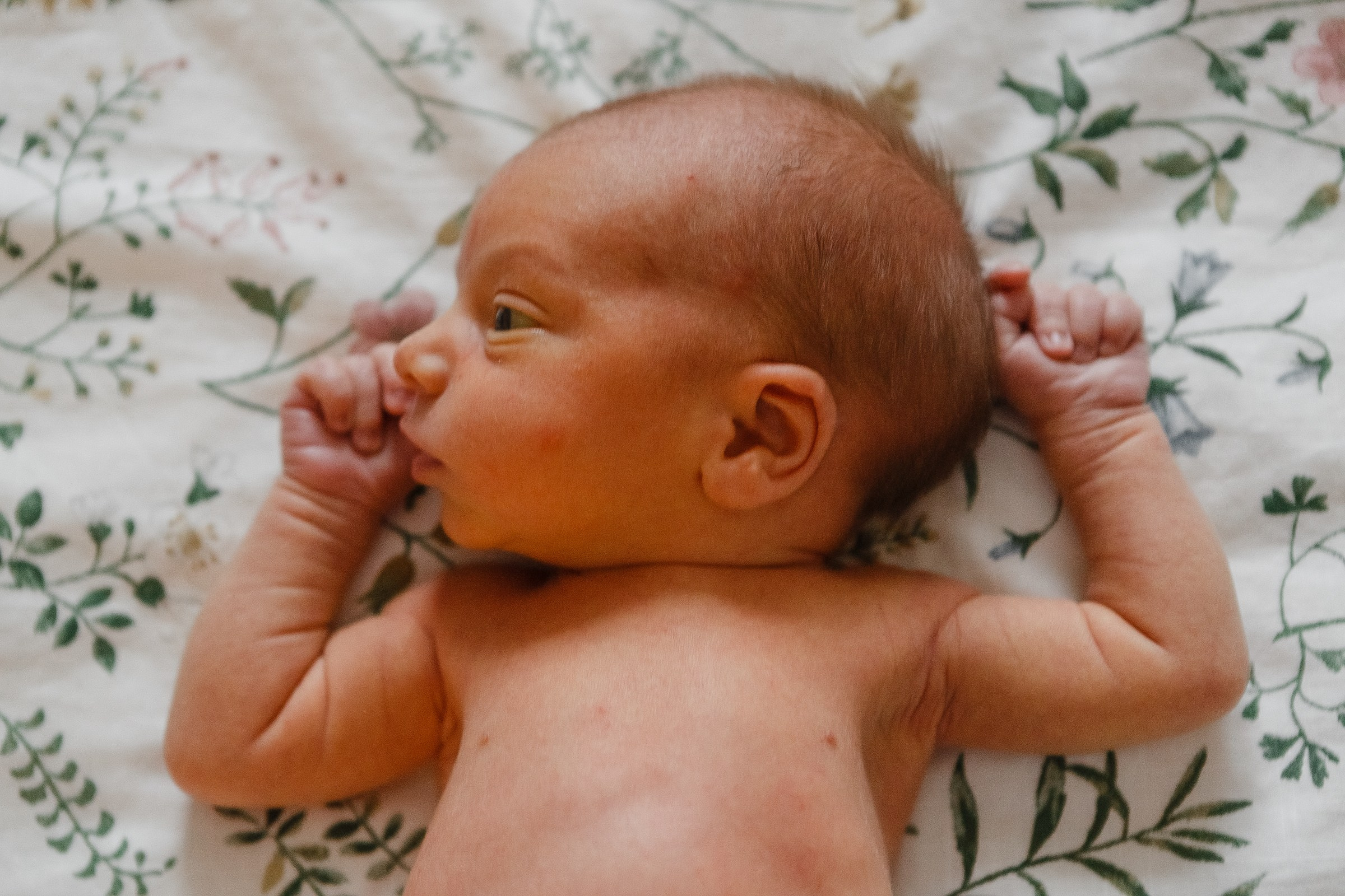 Никита, Оля, Кира, Мирослав, Добрыня. Семейный и портретный фотограф в Санкт-Петербурге