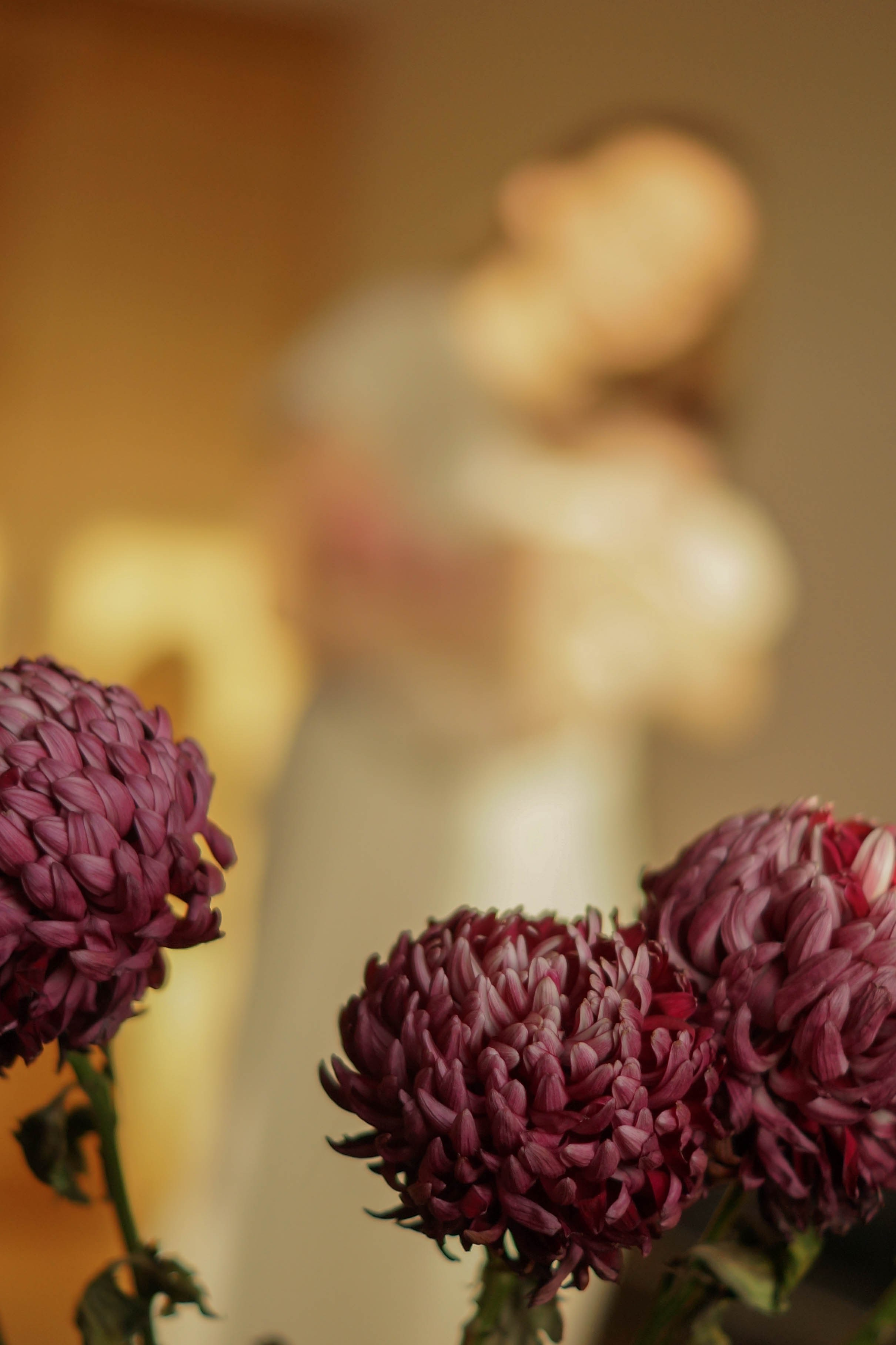 Семья Сабины. Семейный и детский фотограф Троицк Москва