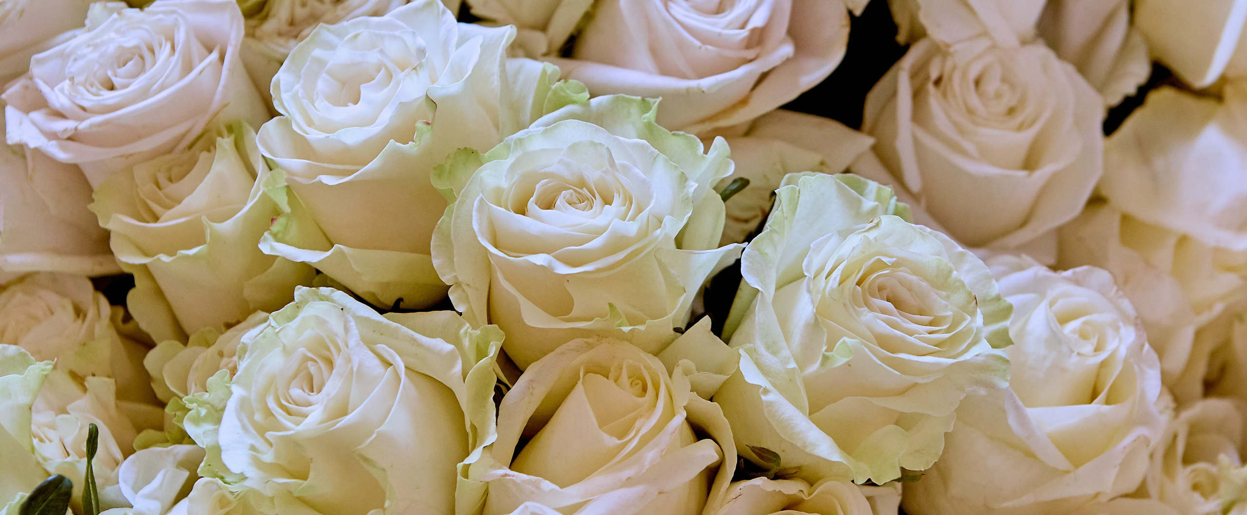 Фотографии Литургии в Праздник Святых Жен Мироносиц