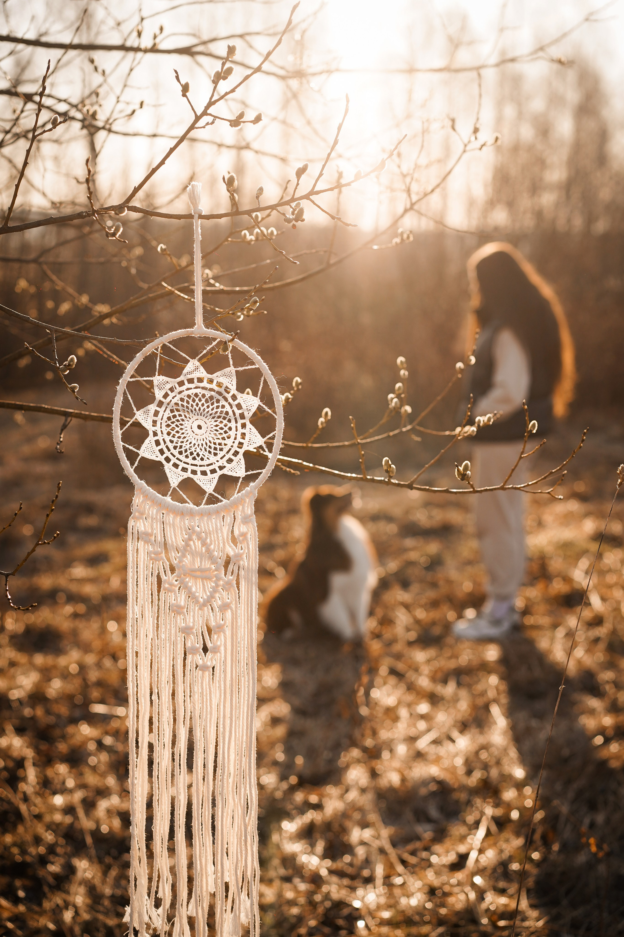 Кристина Рокки и Валькирия. Фотограф-анималист в Санкт-Петербурге Яна Мартынова