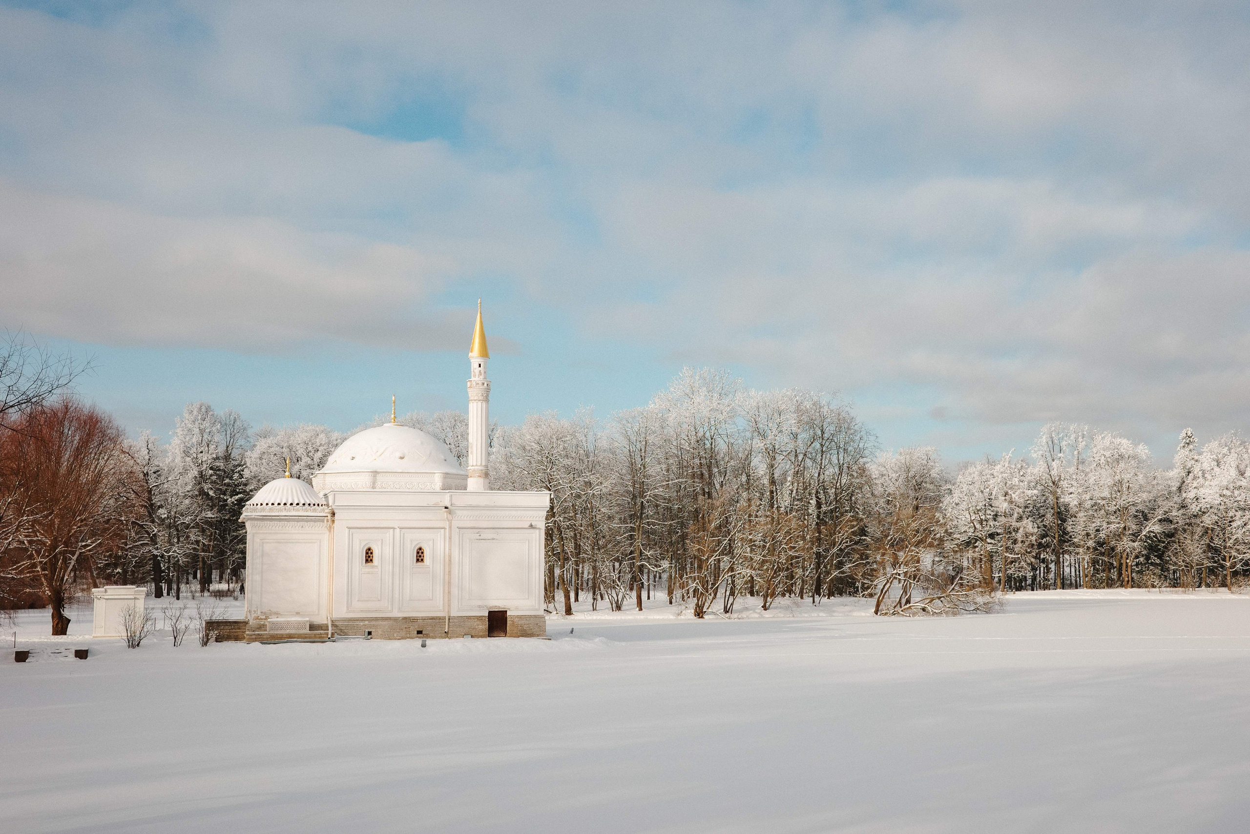 2025.02. Фотограф Алексей Алексеев