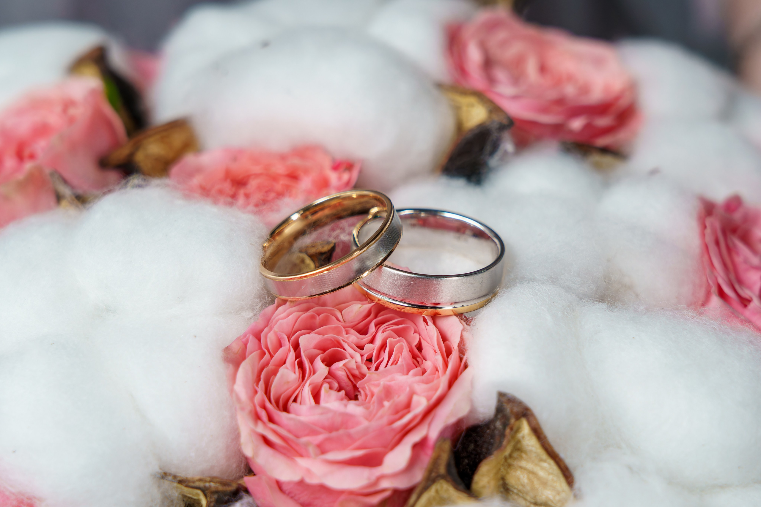 Свадебная фотосъёмка, фотограф на свадьбу. «Студия DRONAVT`s» — видеосъёмка и фотография г. Москва