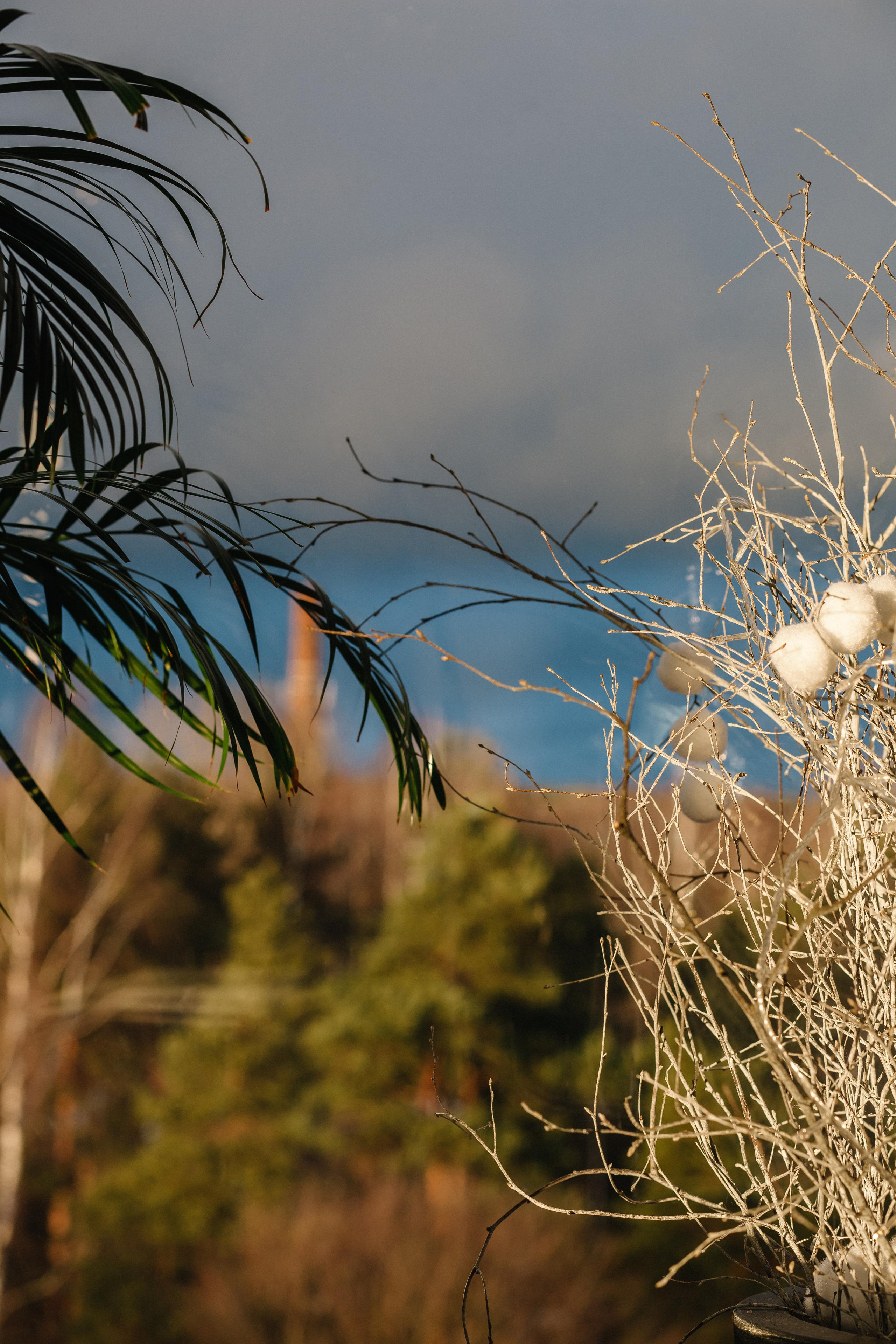 НГ Аквамарин. Семейный и свадебный фотограф в Майкопе Михаил Мартиросян