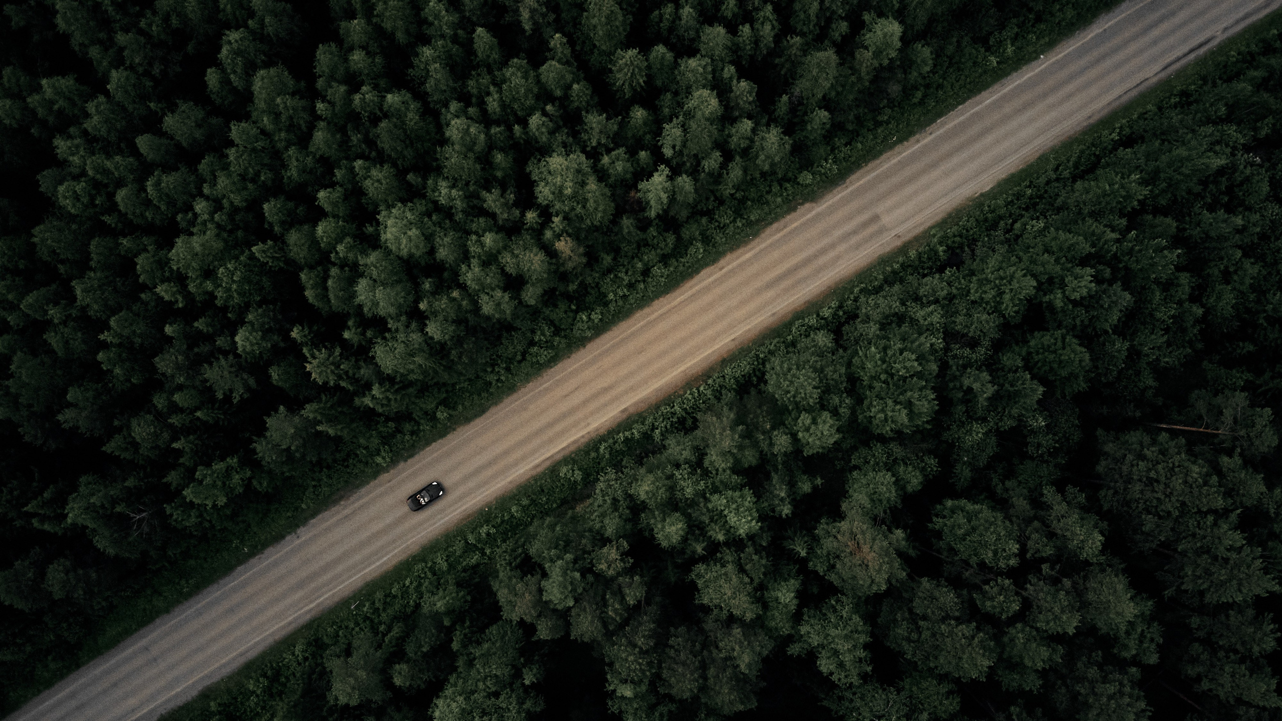 Фотосессия Love Story — романтичные снимки для влюбленных | Дмитрий Мазуркевич. Дмитрий Мазуркевич: Профессиональный Репортажный Фотограф