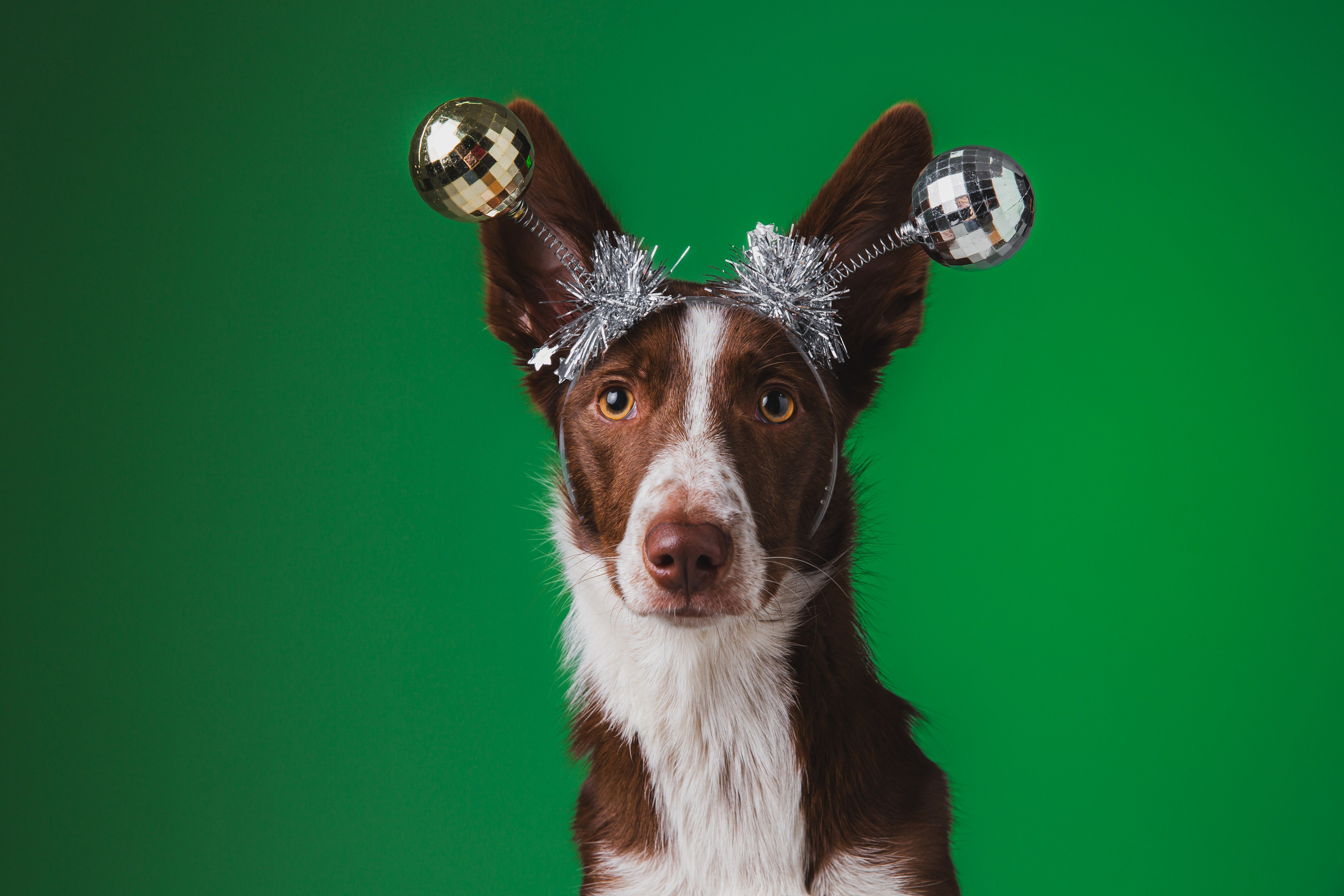 Воркшоп по импульсному свету