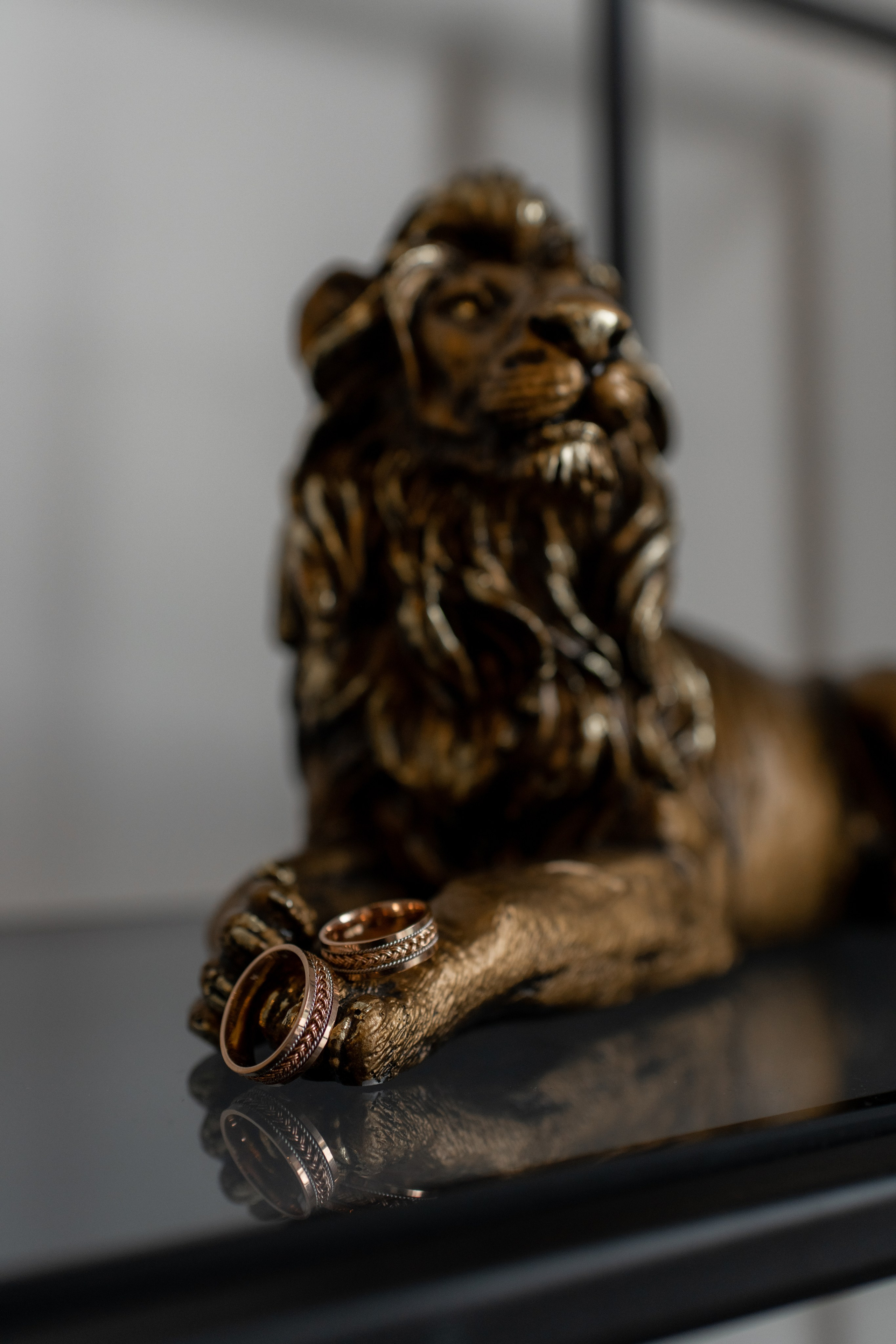 Оксана и Александр. Фотограф в Москве/Зарайске Шахова Марина