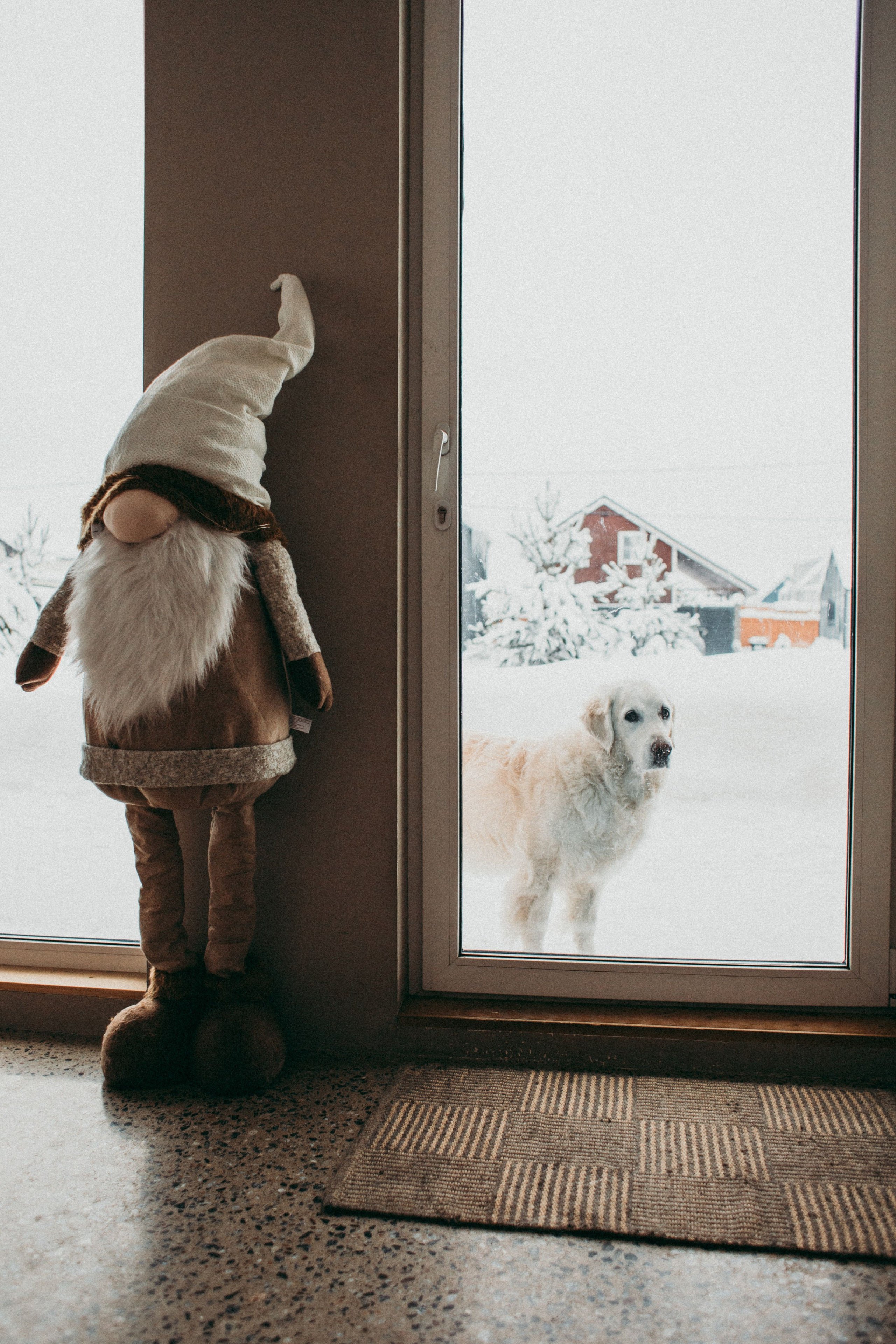 Татьяна, Миша и Гриша. Фотограф Москва и Санкт-Петербург