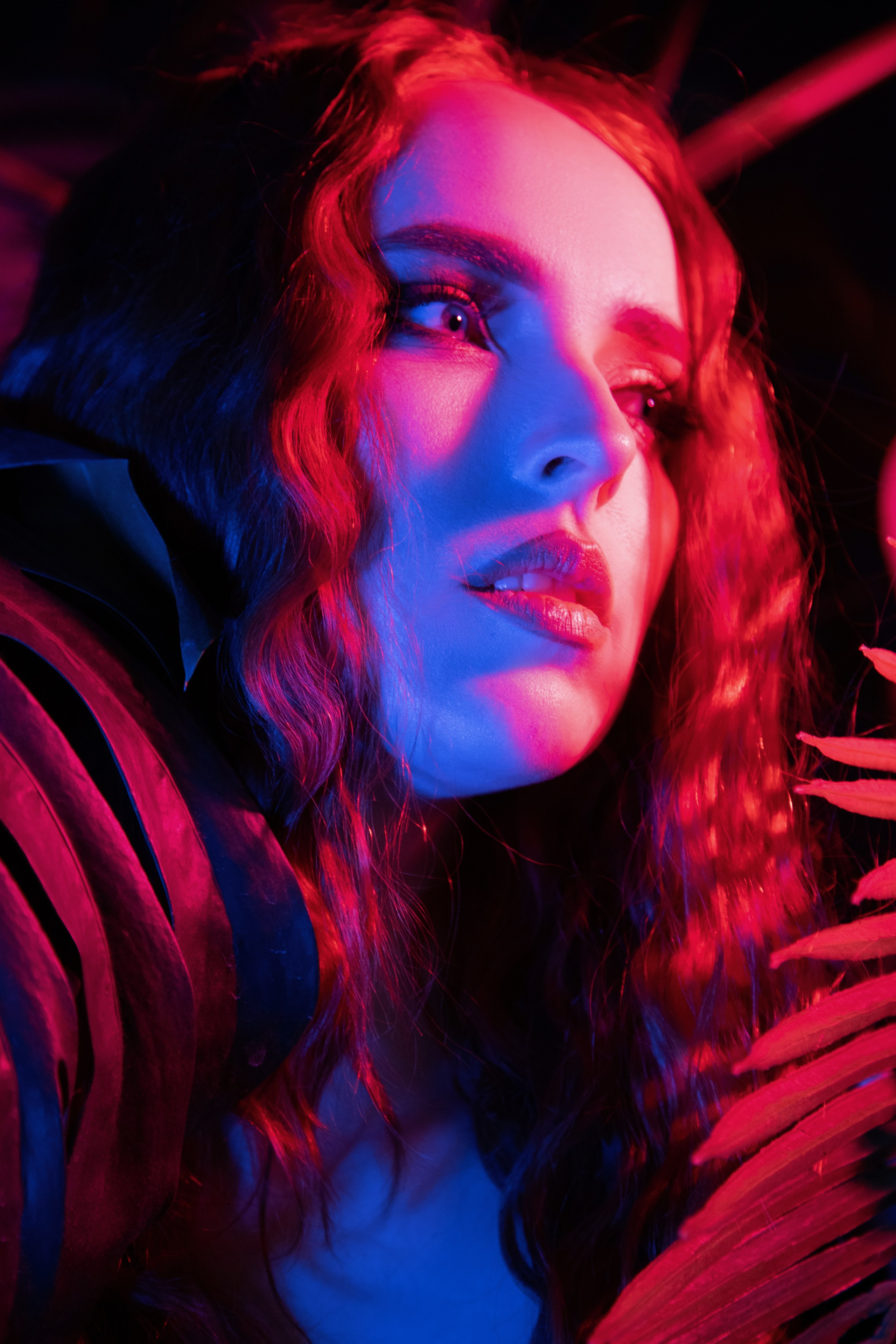 Palm. Студийный фотограф | Ксения | Ростов-на-дону