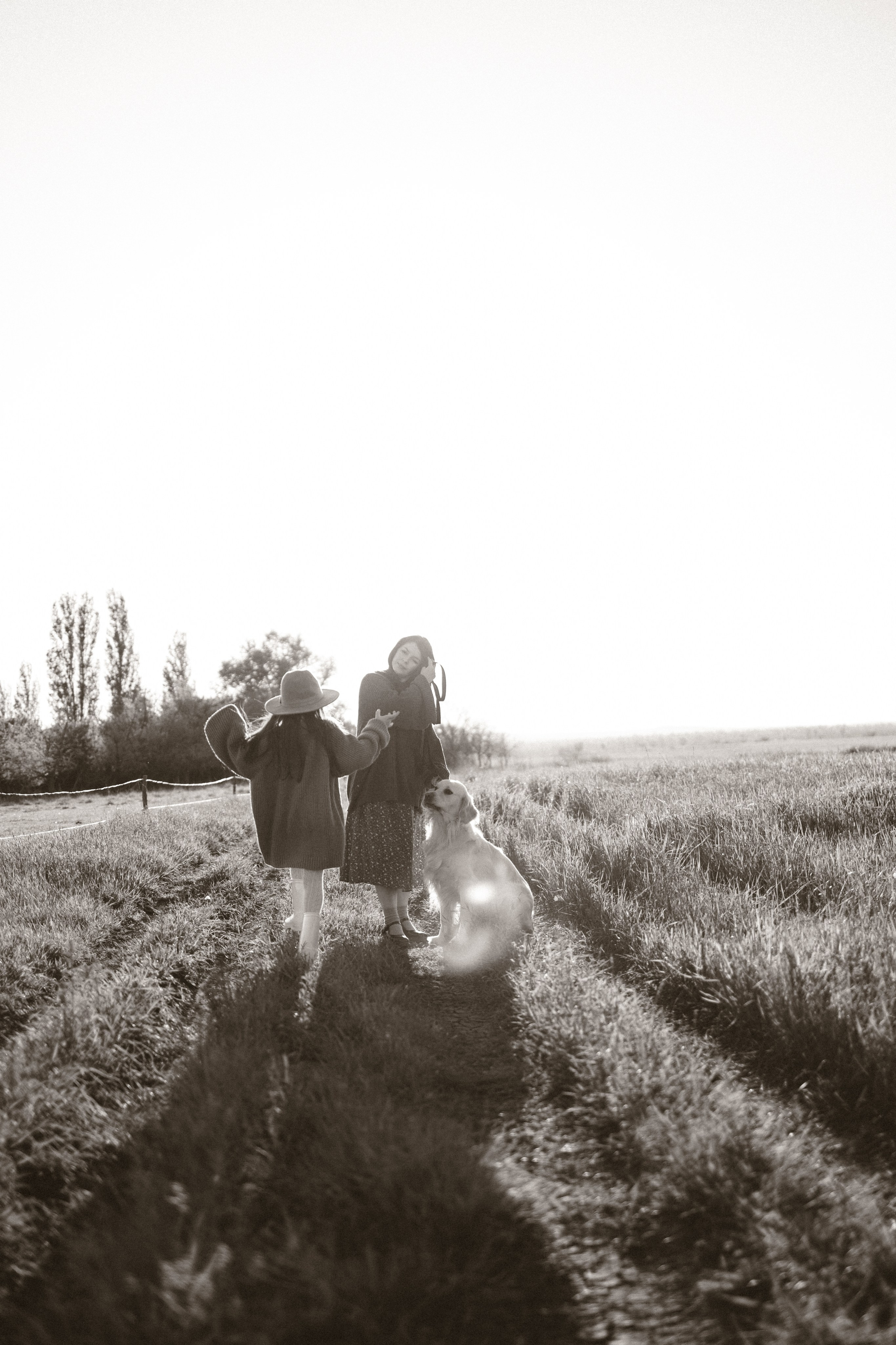 Лола, Ника и Сэм. Семейный фотограф Ставрополь Варвара Воробьева