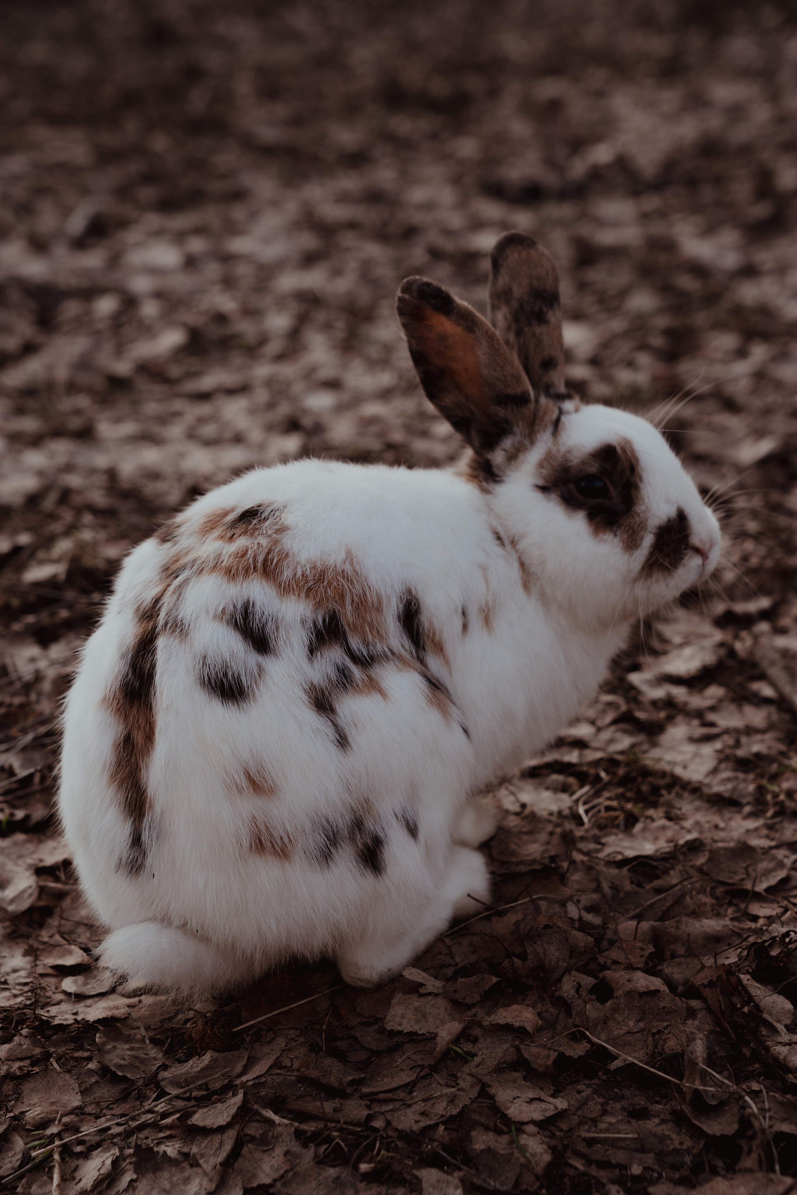 Кино. Концептуальный фотограф Шлыкова Ольга