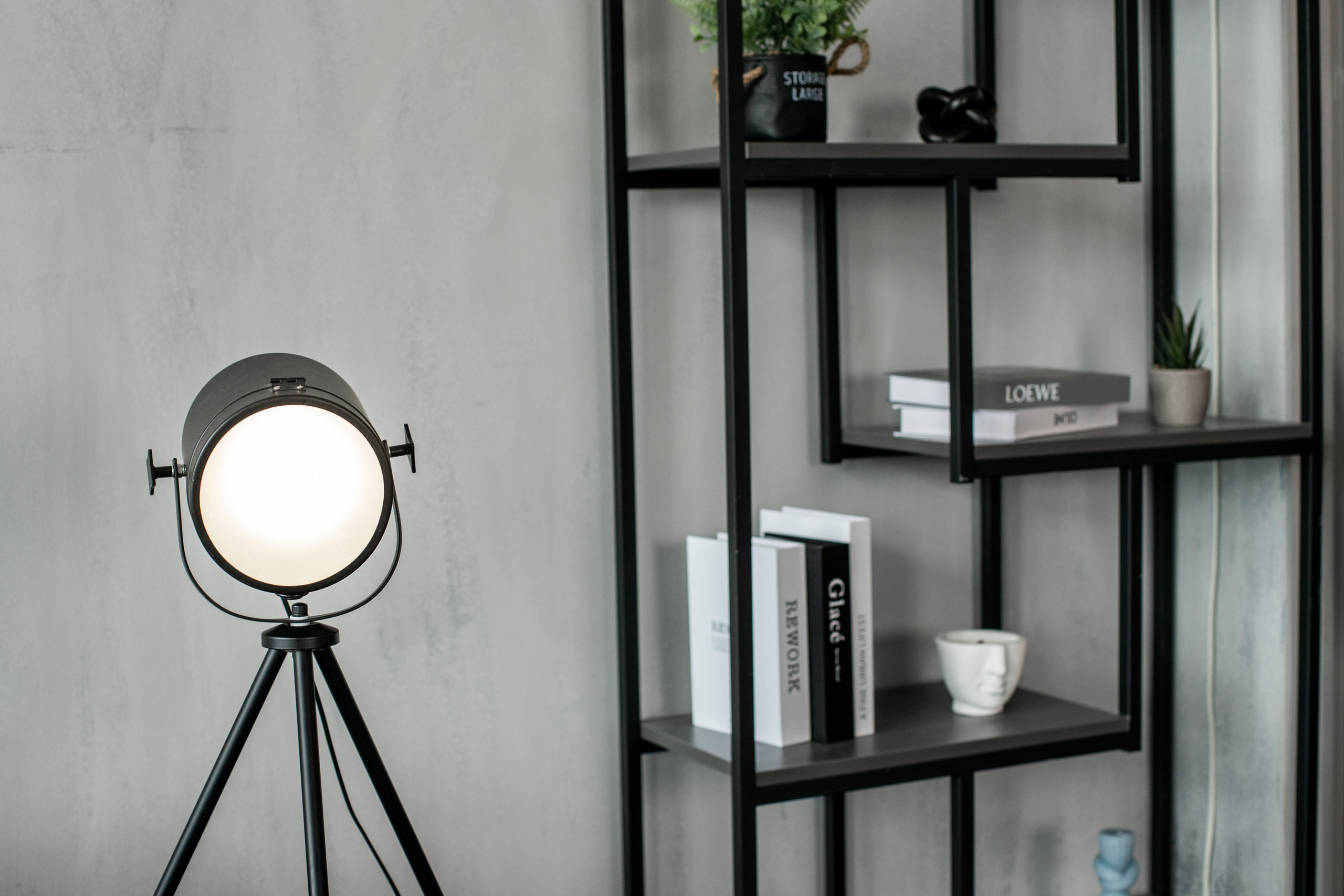 Честер (студия Зеркало). Фотограф г. Хабаровск. Семейные и индивидуальные съёмки