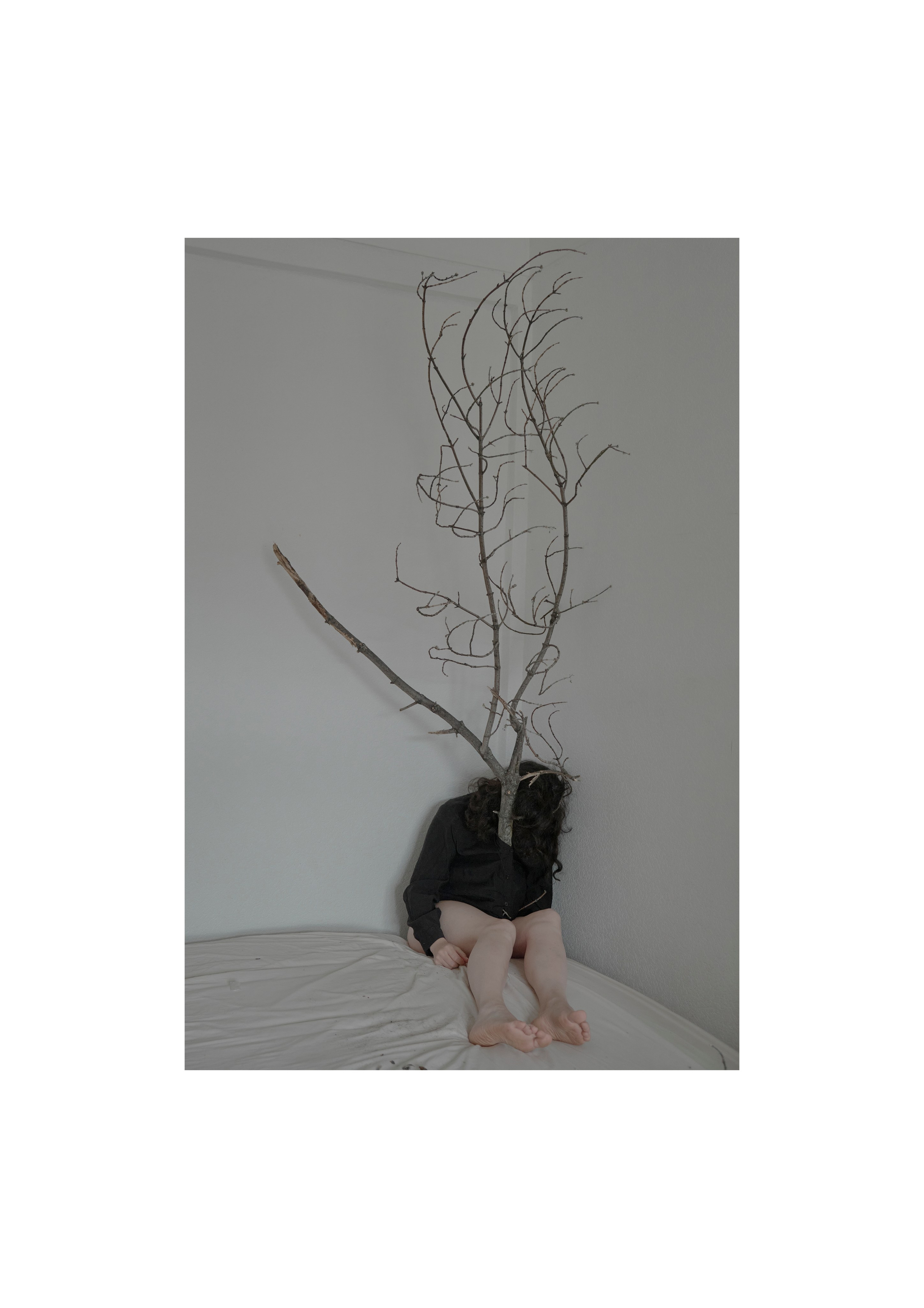 Я приношу к себе лес я себя приношу в лес. Алиса Косарева