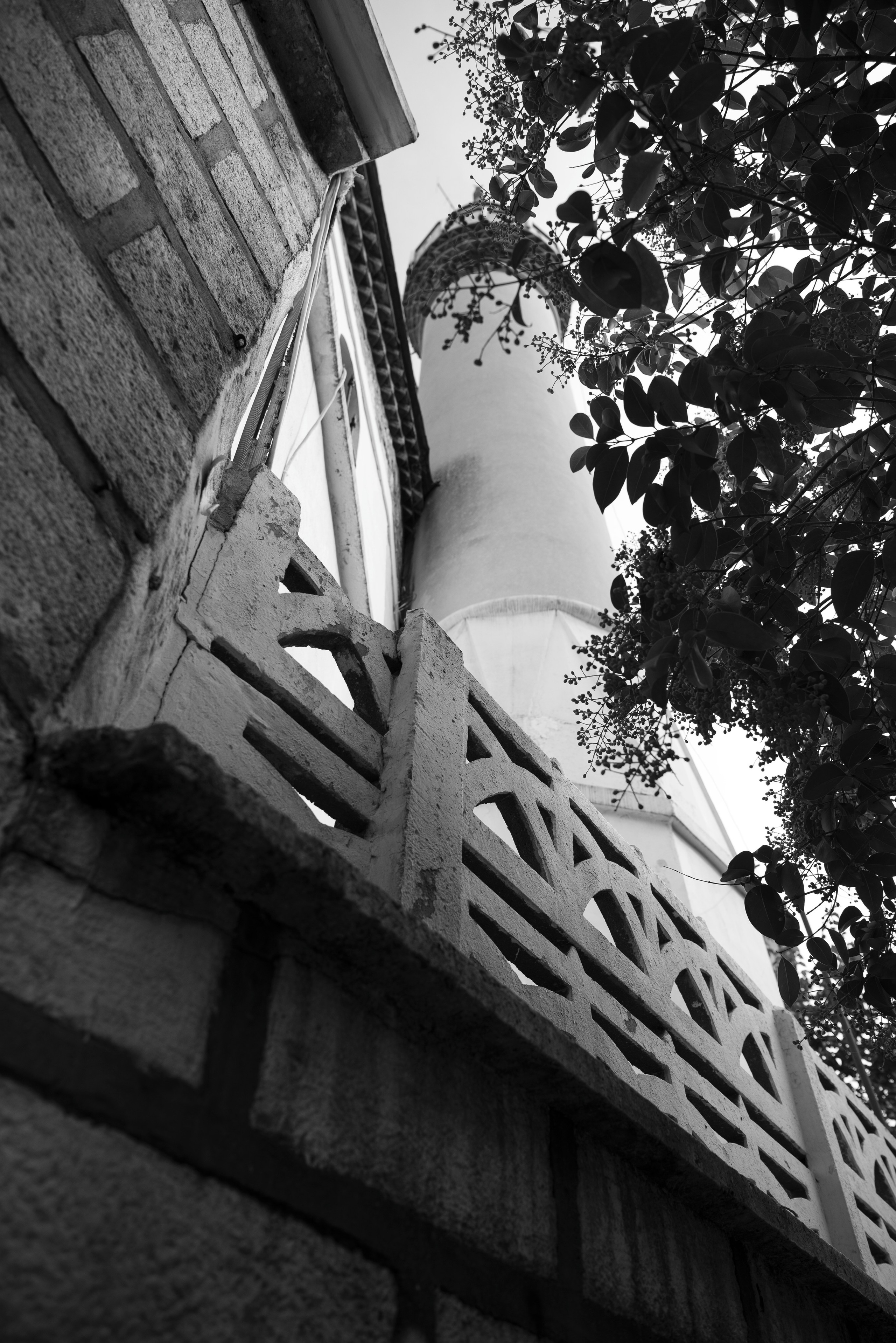 Стамбул. Фотограф Милена Яновска