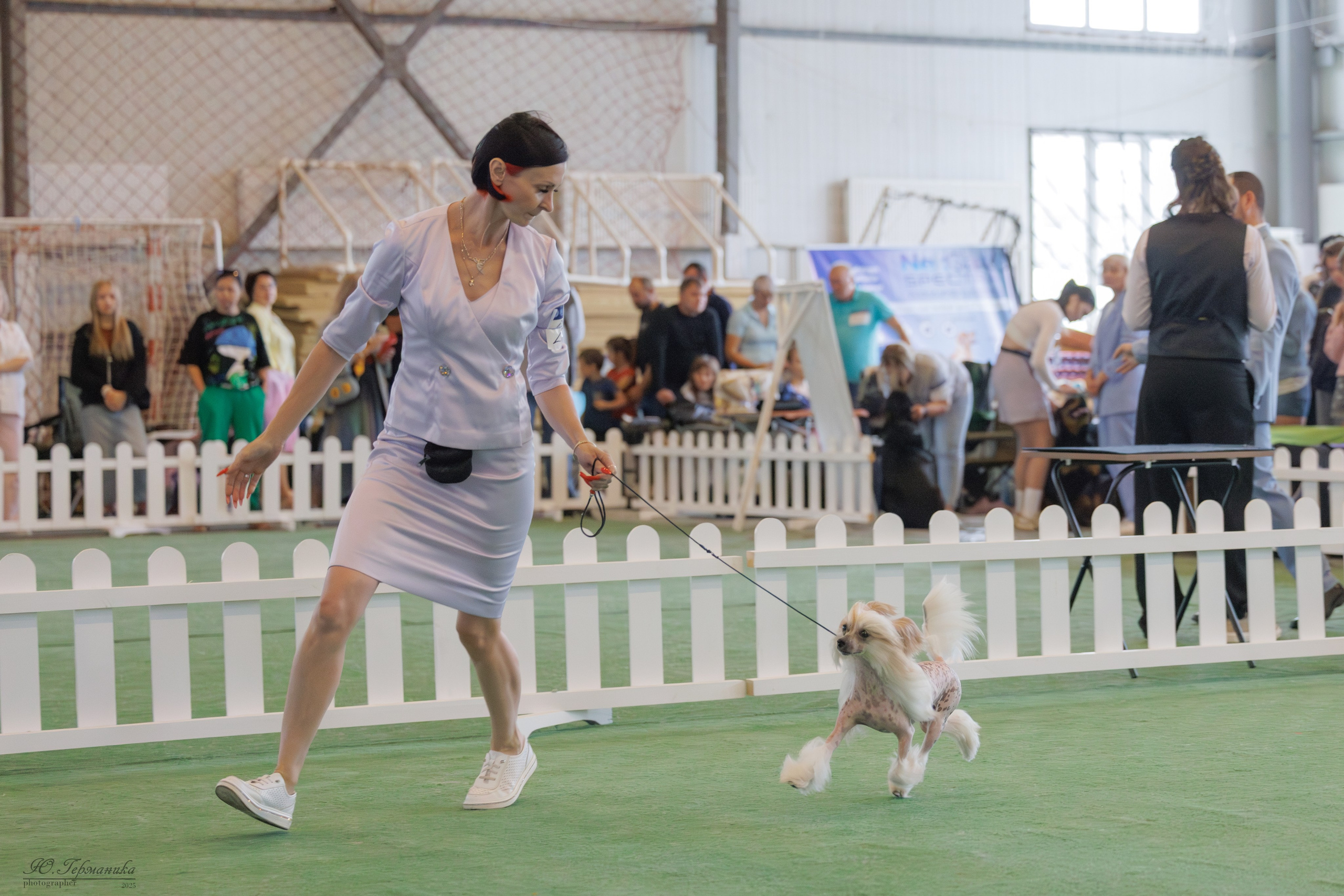 Батуми 3хCACIB 27-29.06.2025. Фотограф-анималист Юлия Германика