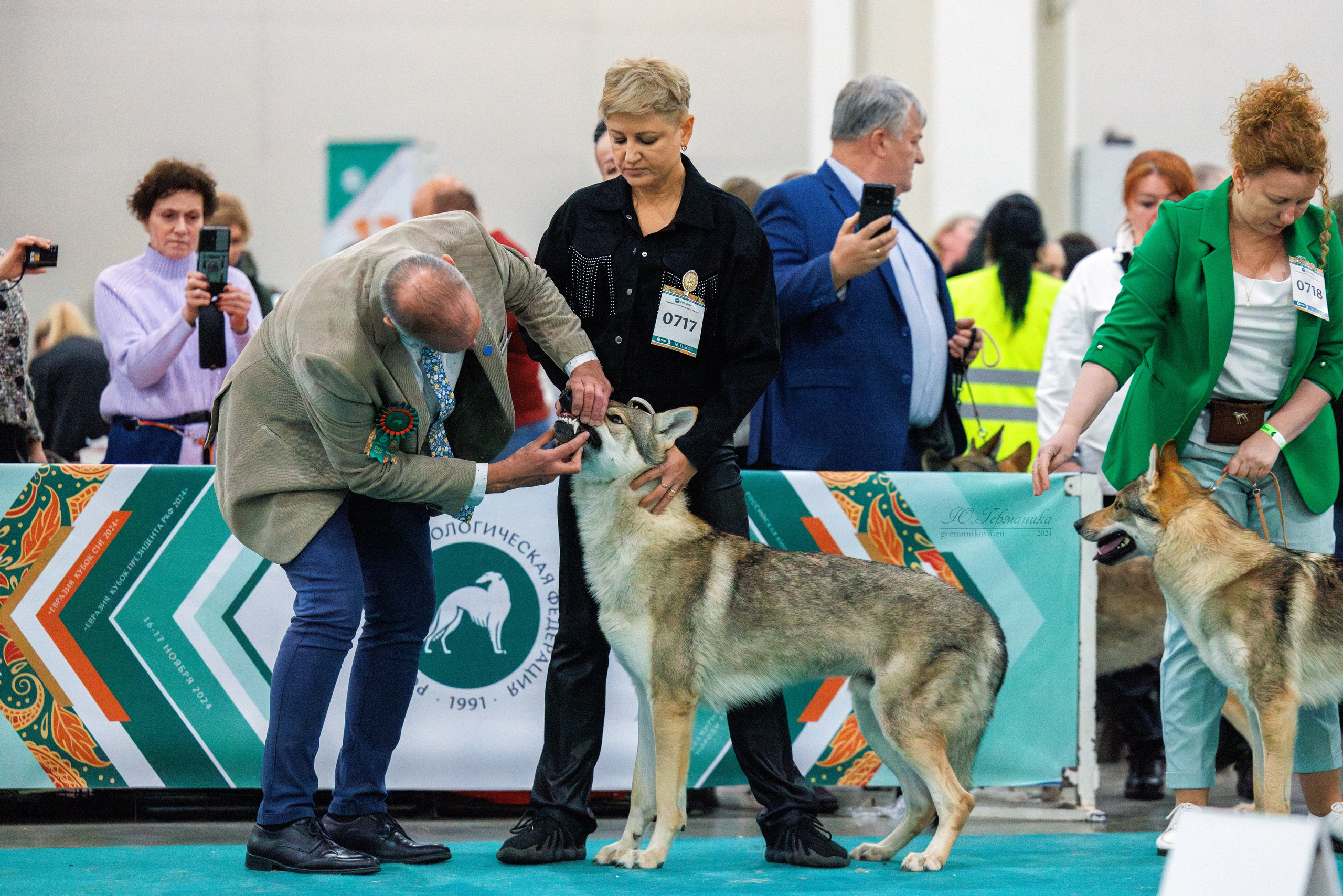 Евразия 16-17.11.2024. Фотограф-анималист Юлия Германика