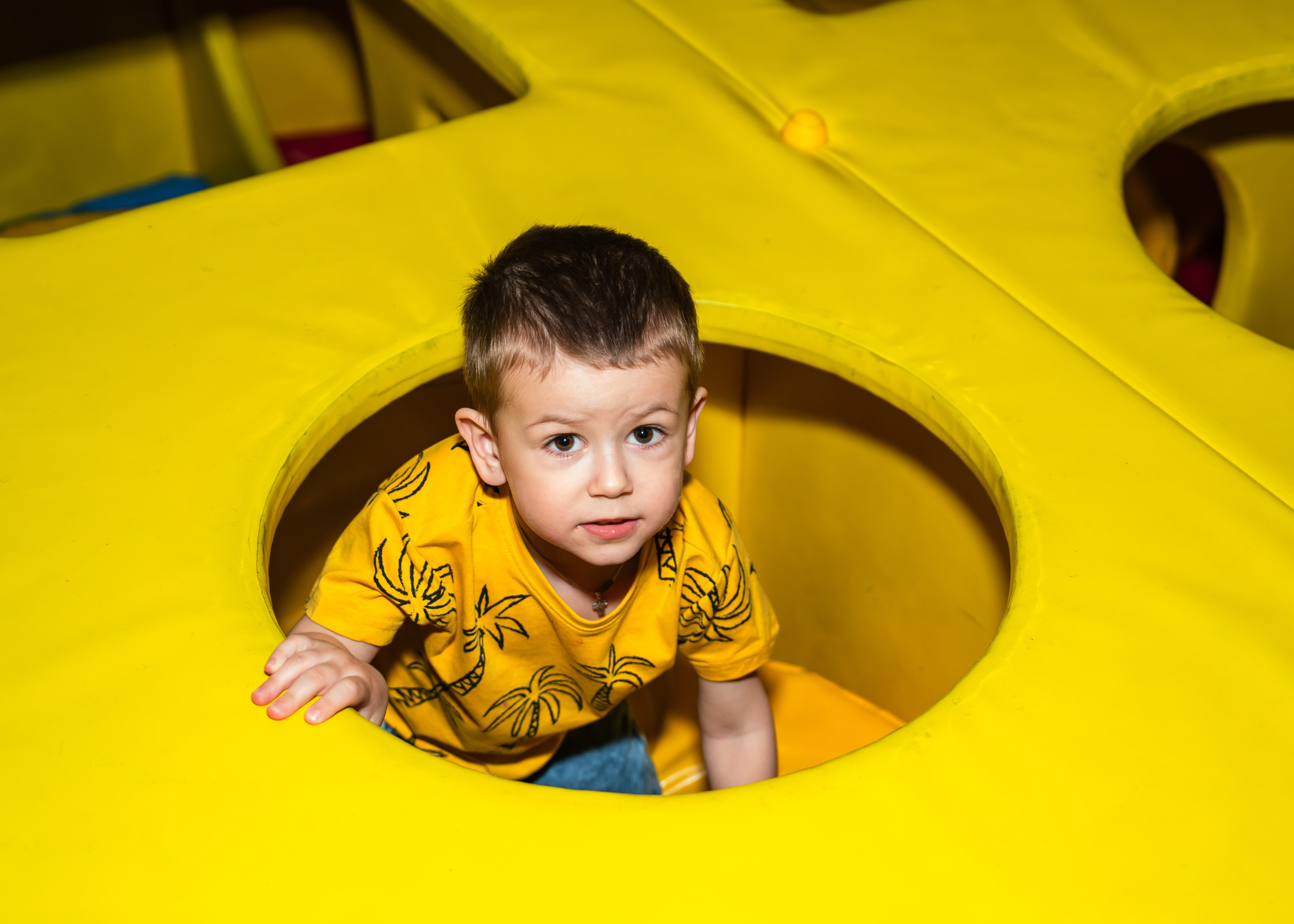 Коржик в Joki Joya. Крамер Юлиана детский и семейный фотограф