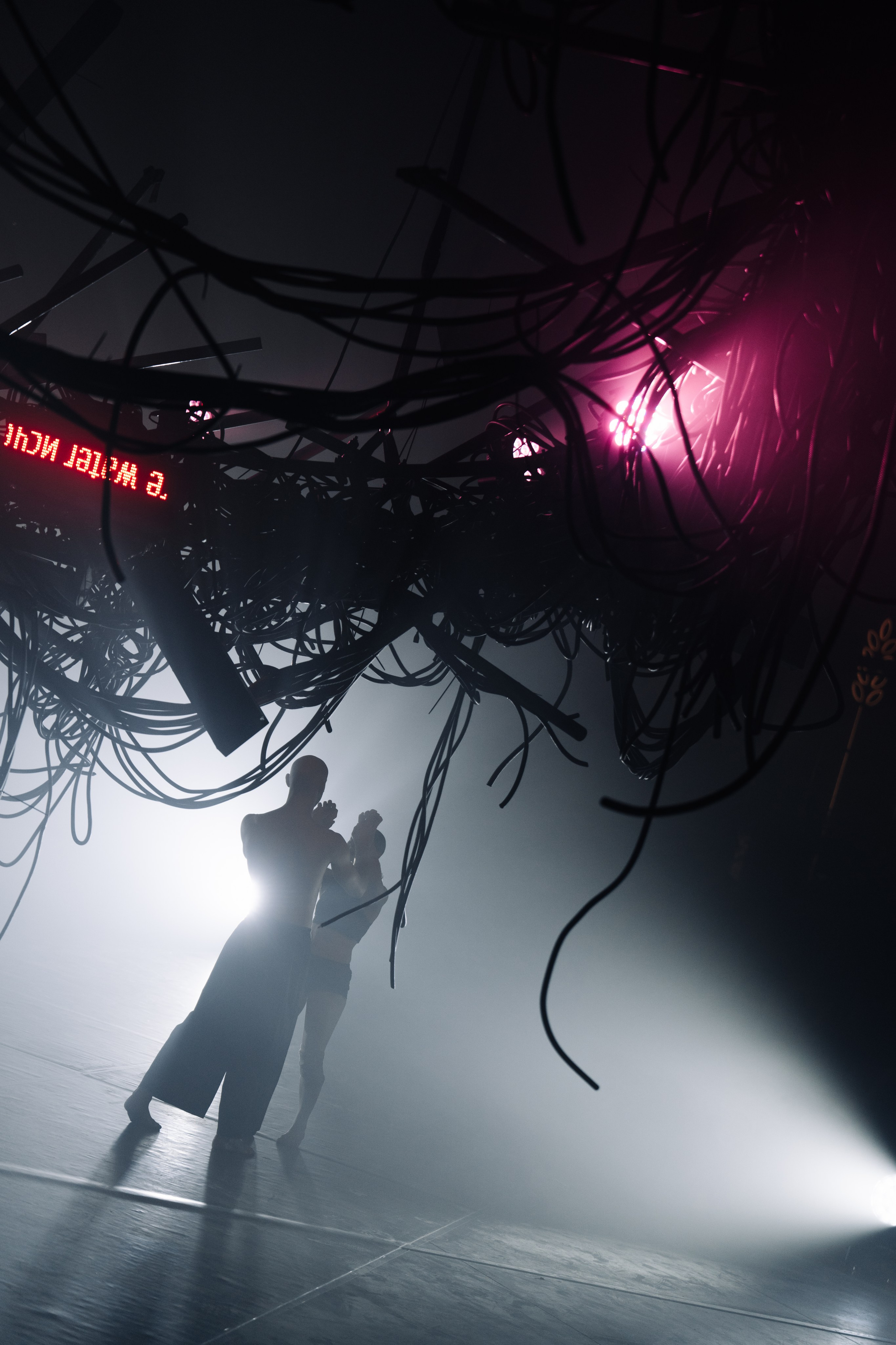 PERFORMA, The Hour of the Horse. @tomrus: Рустам Шагиморданов — фотограф