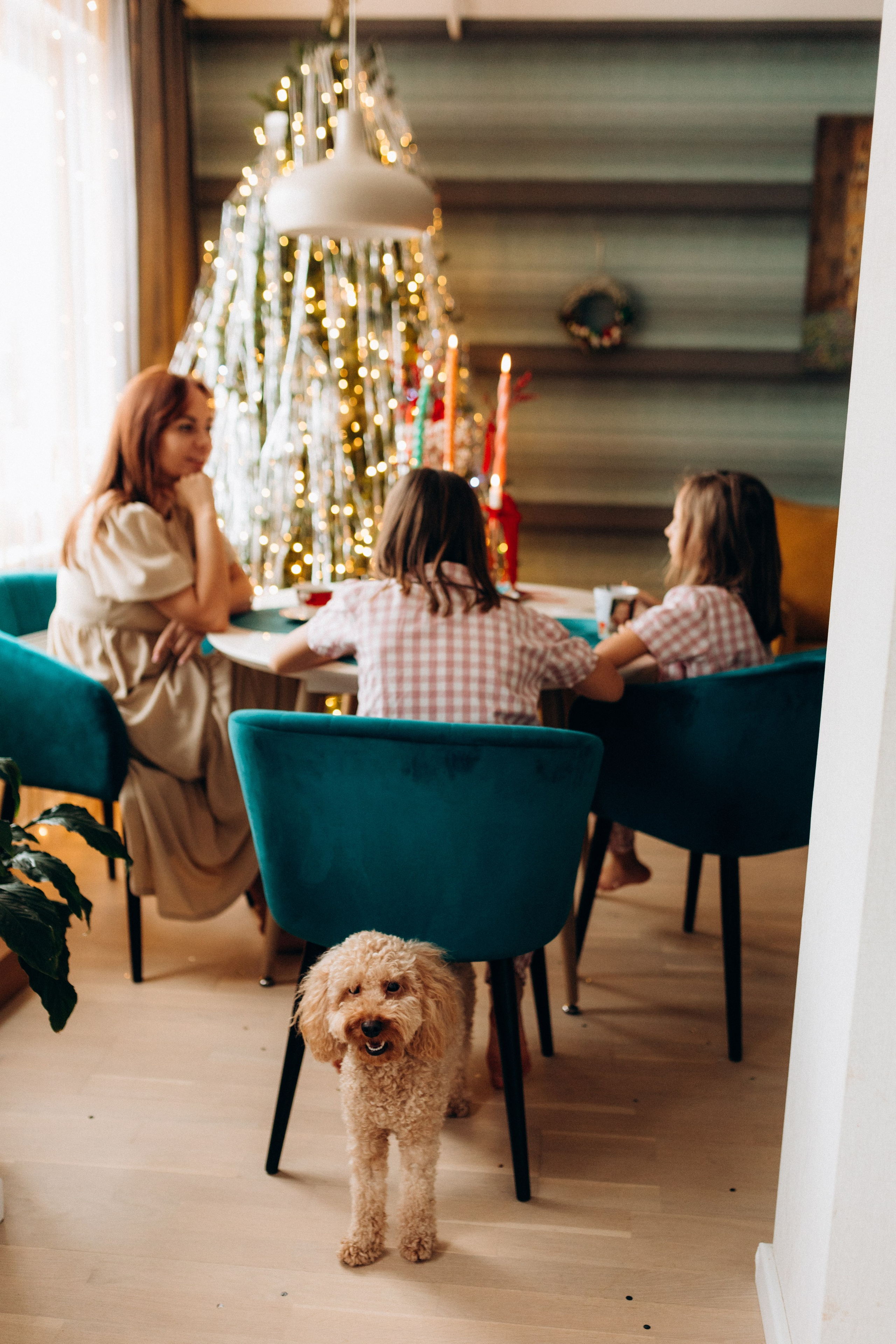 Домашние истории. Семейный и парный фотограф Мария Куцко