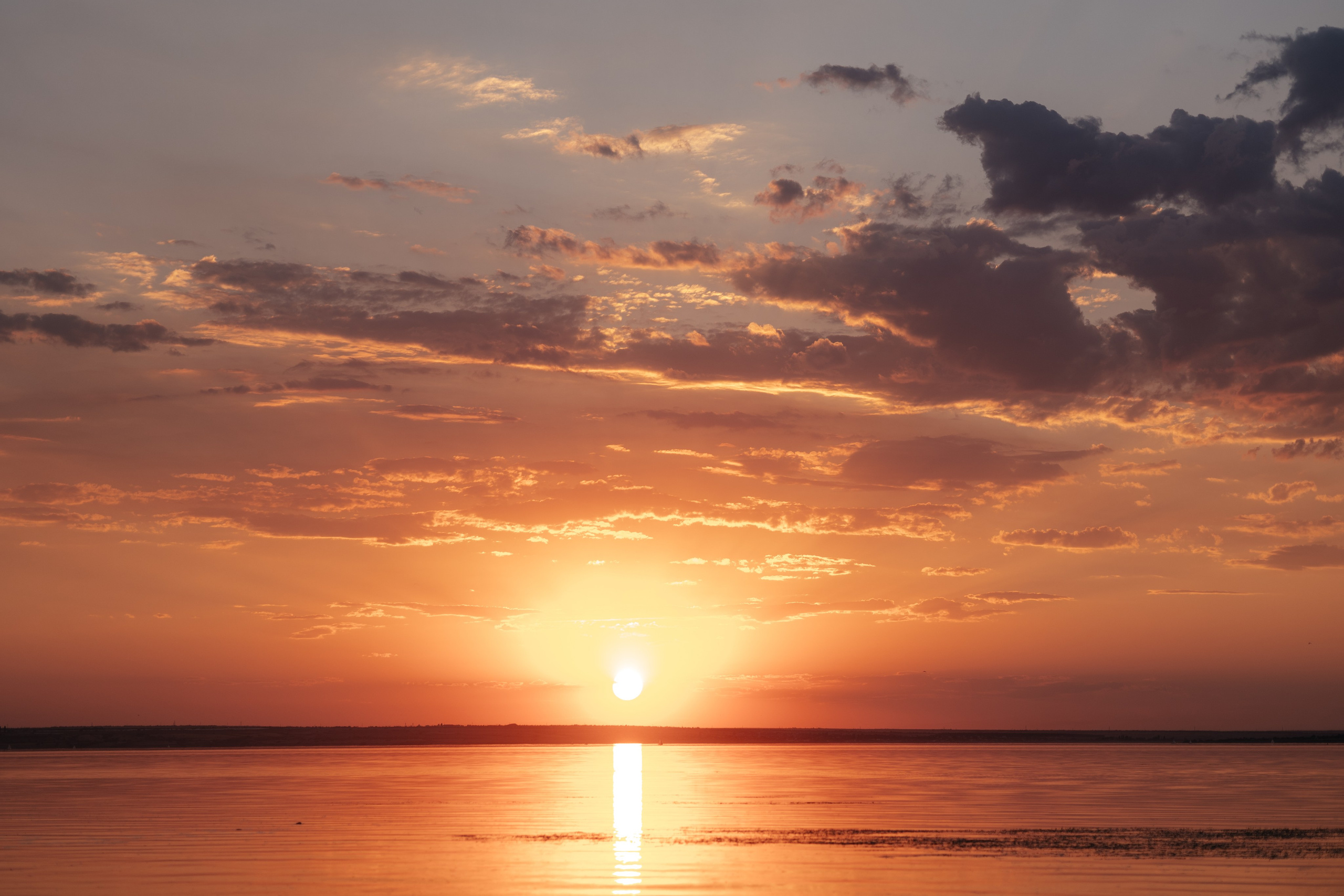 ЛавСтори Погромное. Фотограф Крохин Олег