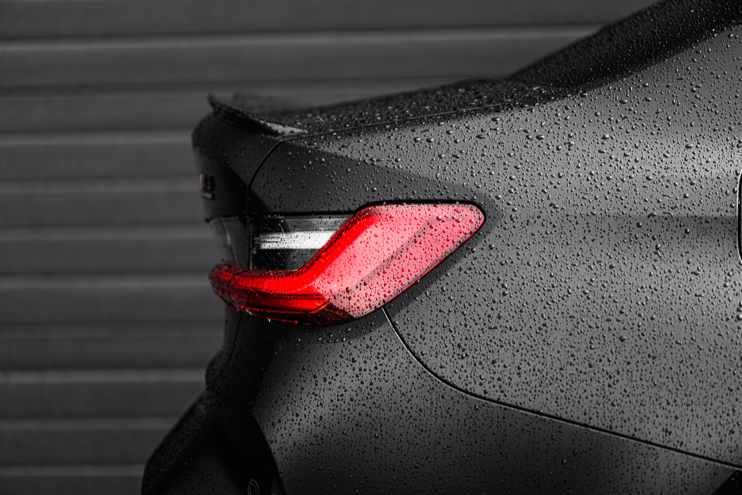 RDRC 2025 Этап 2. Авто и мотоспорт — фотограф Антон Медведев iCoguar