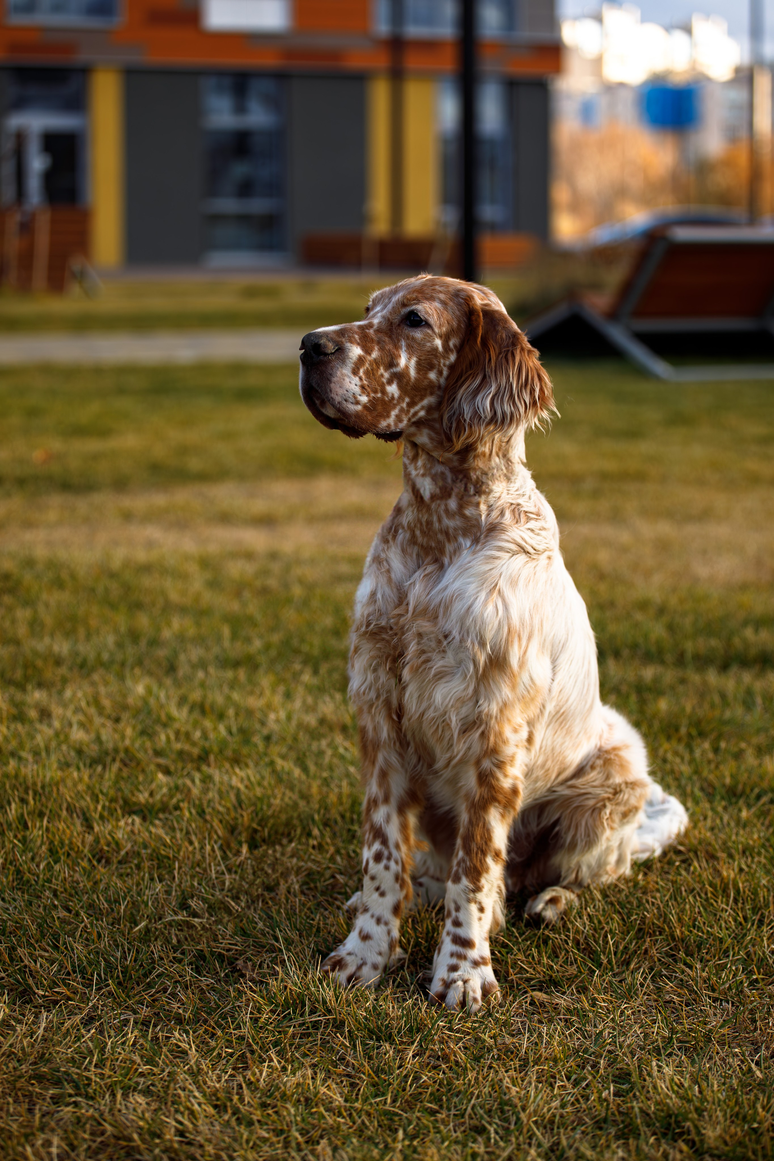 Андрей и Милан. Фотограф Екатерина Козловская