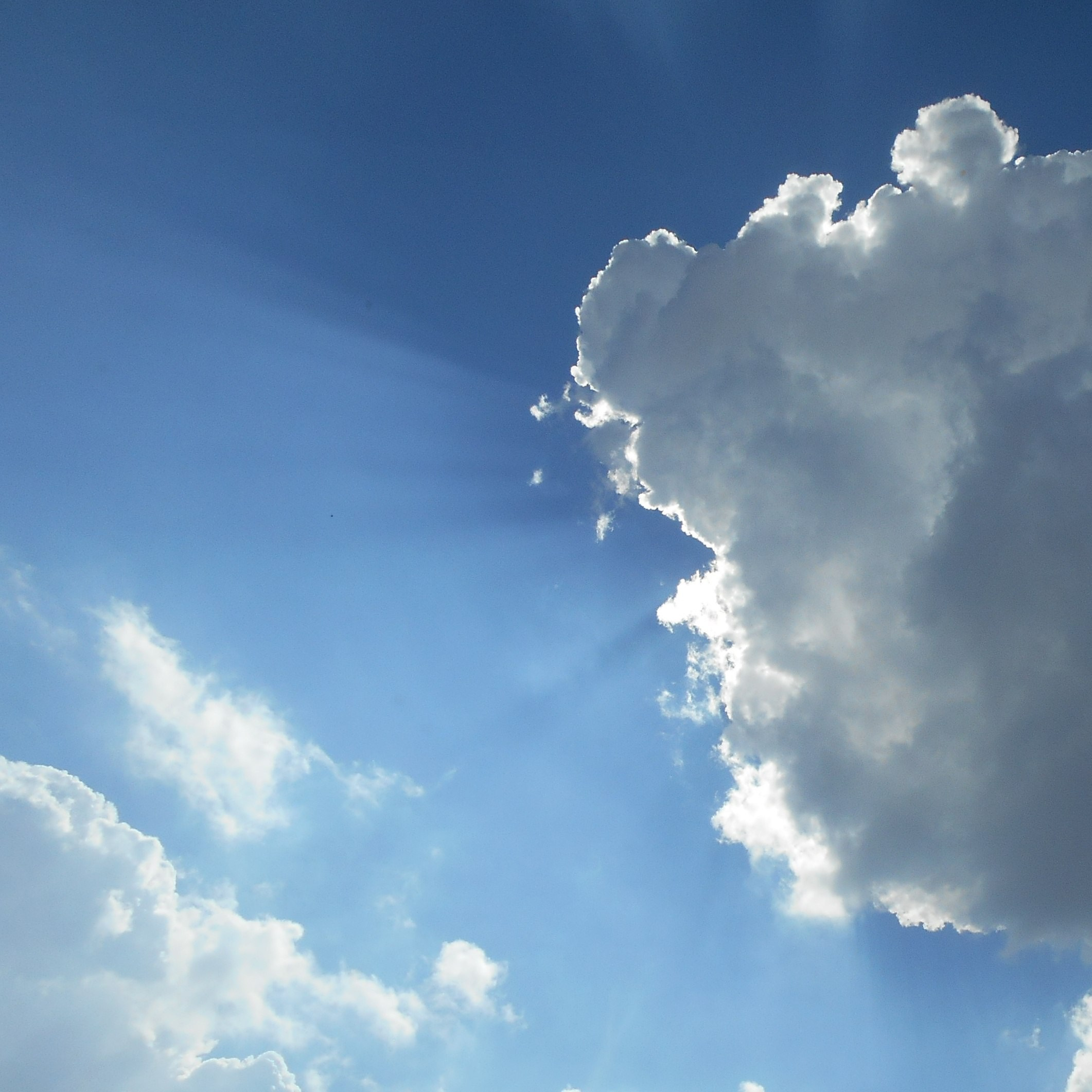 Moon, Stars, Sun and Sky. Natalia Carney — Photographer, Model, Blogger