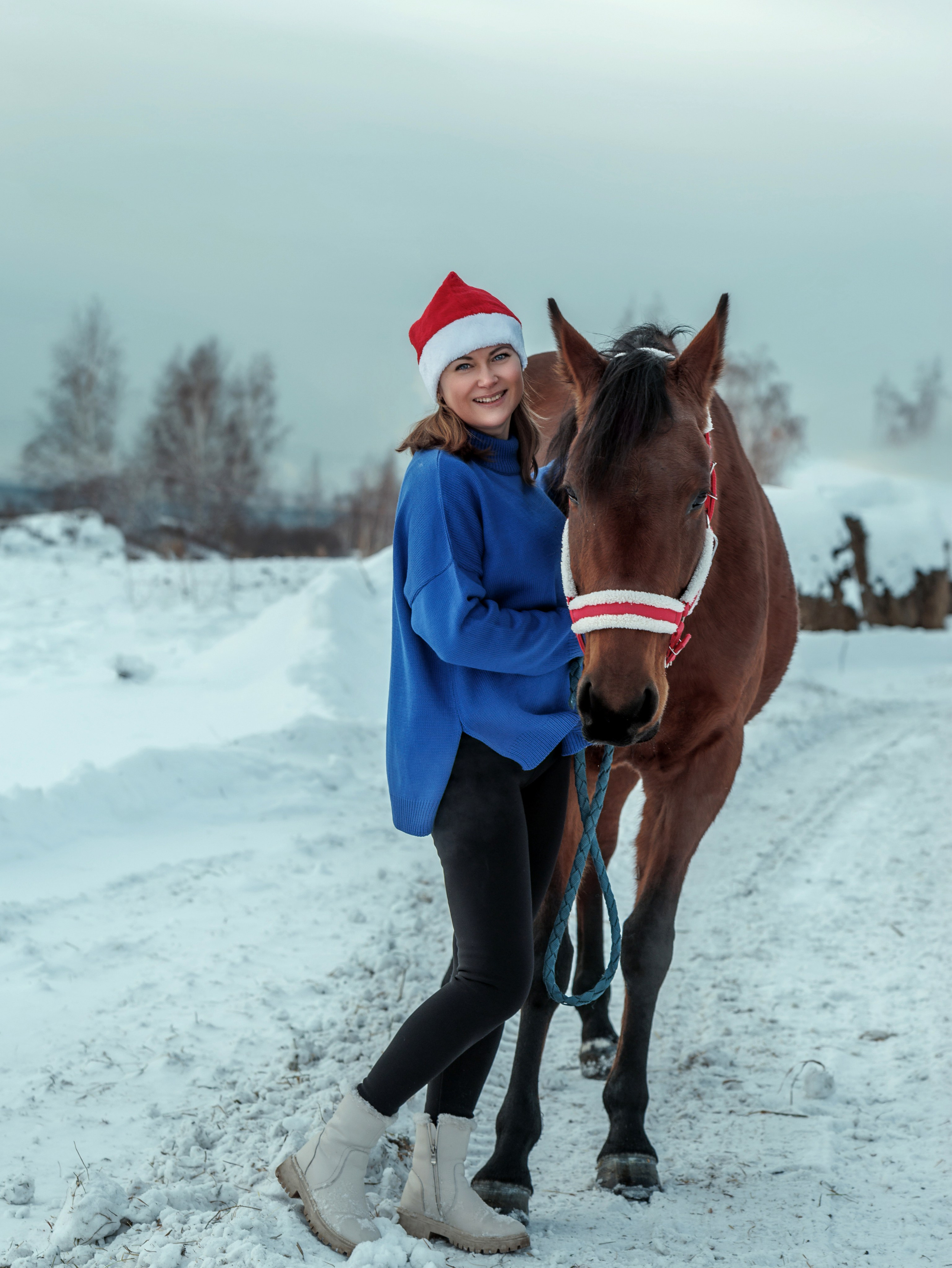 Конные клубы. Конный фотограф в Красноярске — Любовь Похабова