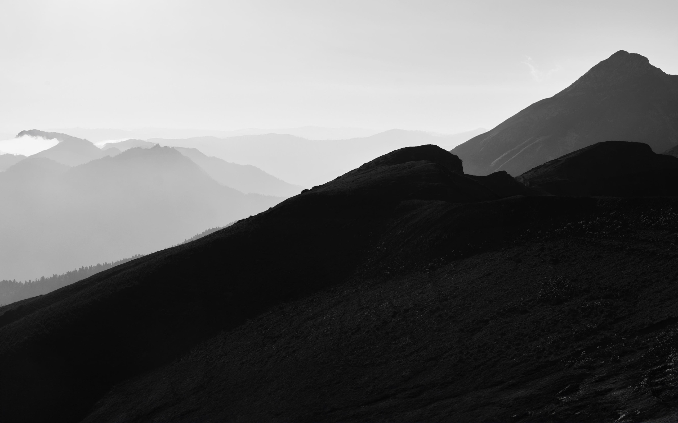 ТВОРЧЕСТВО. ALEXANDR NOVIKOV