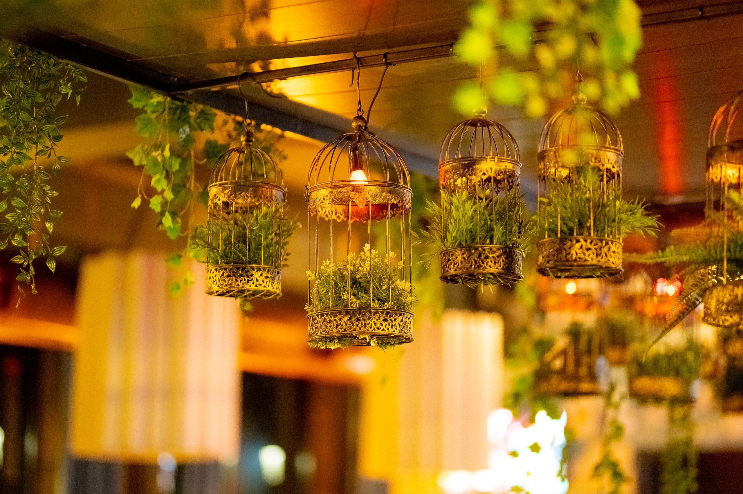 Пели ели на качели. ProfotoNK