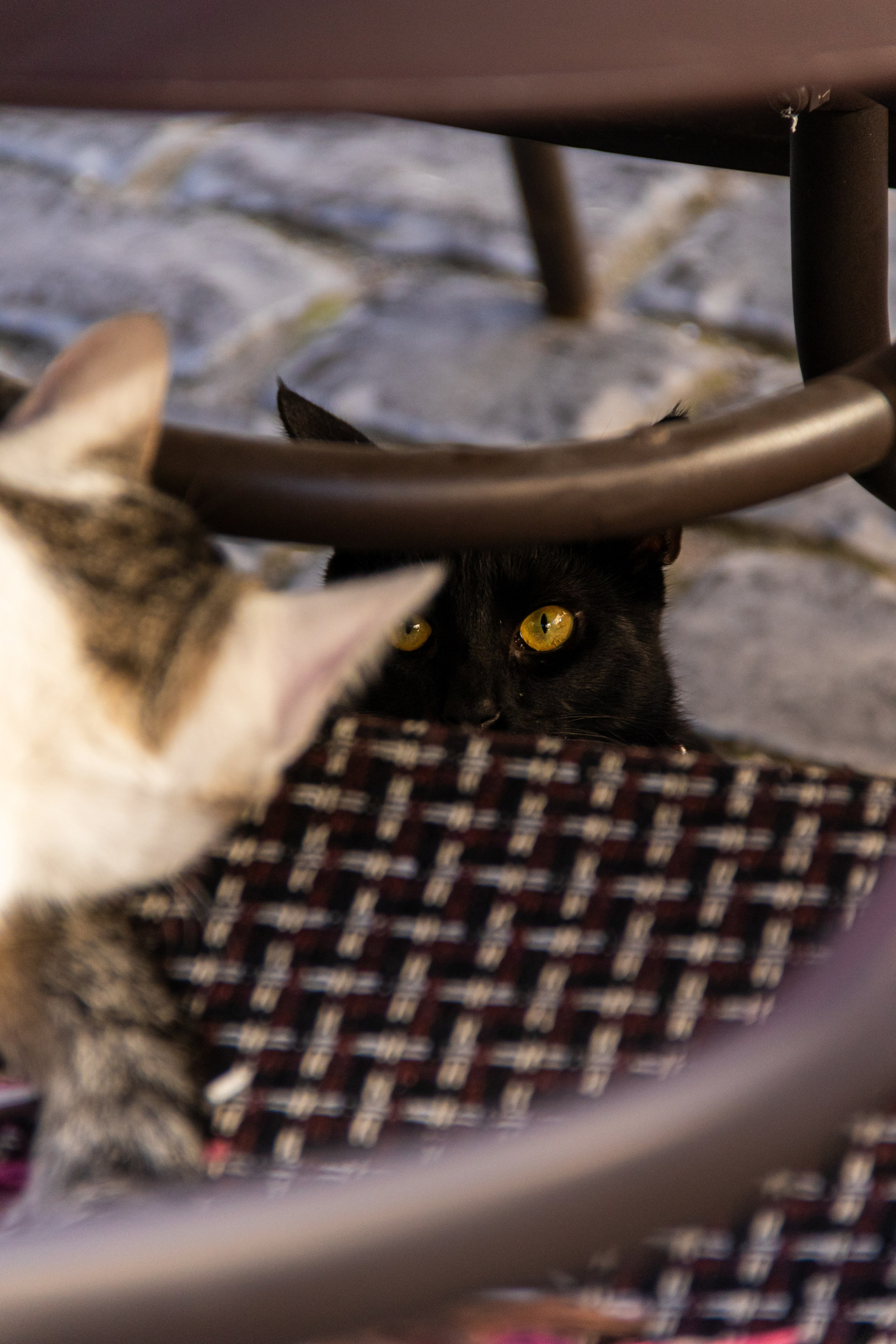 Баку. Наталия Фролова. Фотограф. Москва