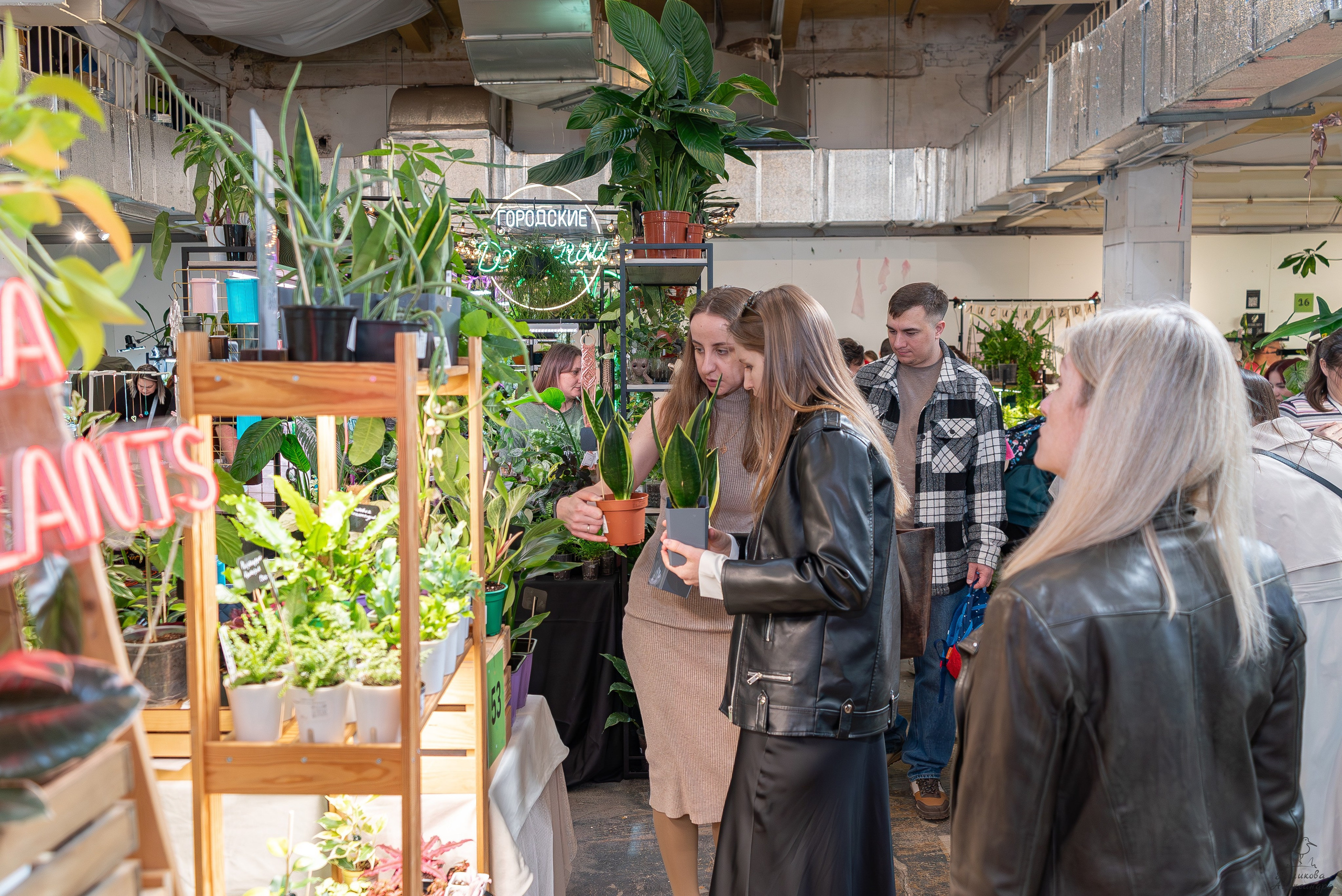 Гроубокс Артплей апрель. Александра Куликова фотограф, Москва