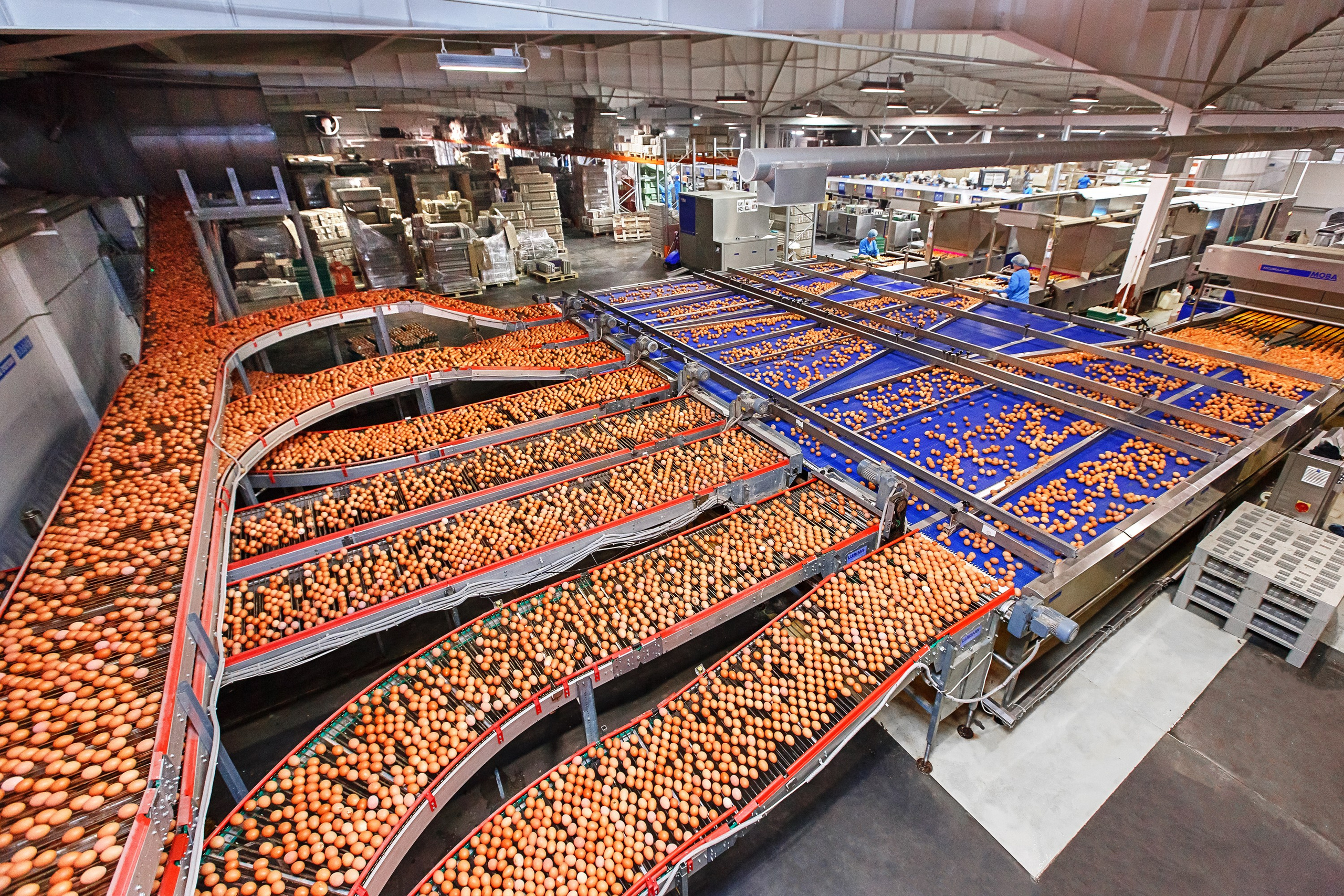 Птицефабрика «Волжанин»