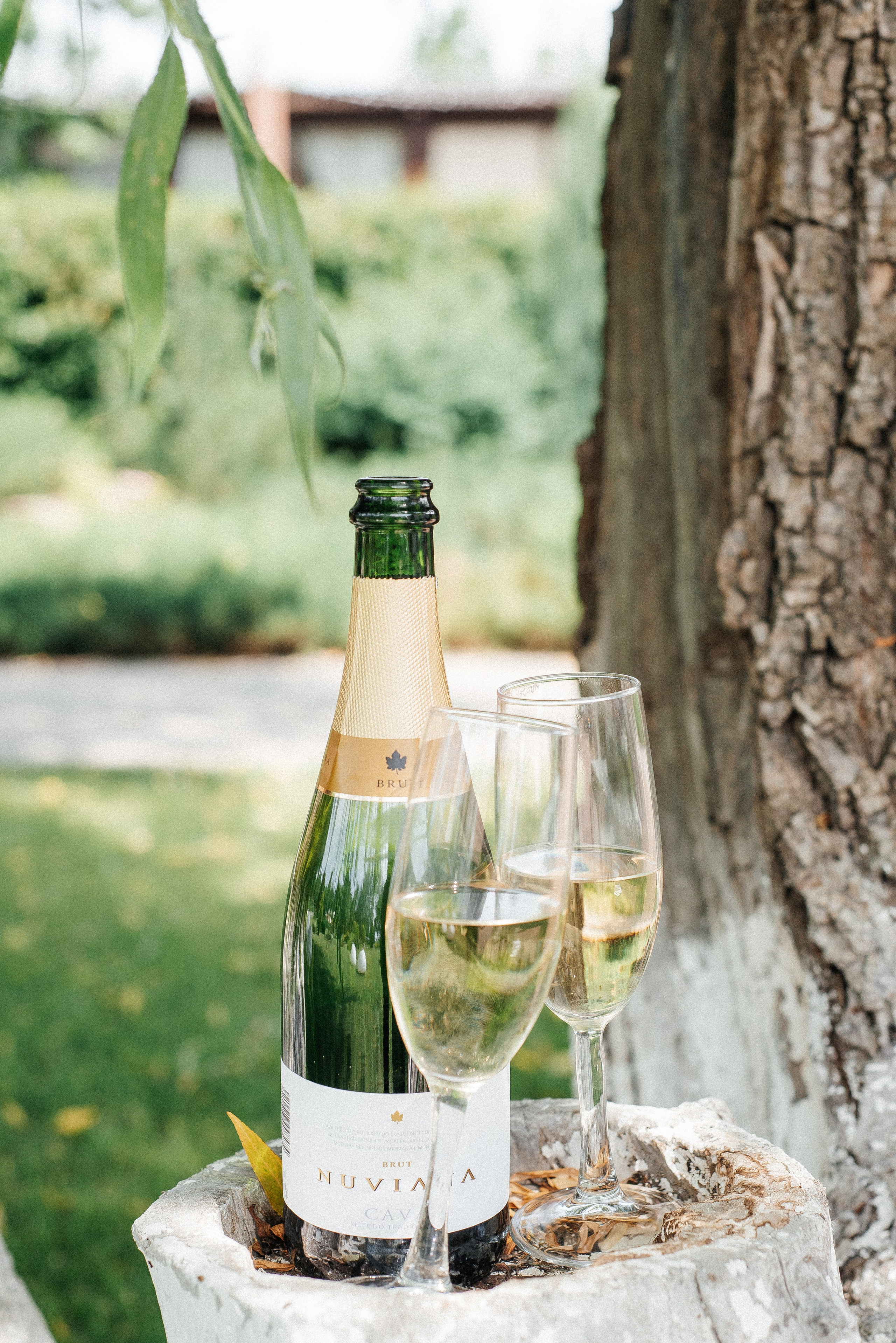 Summer vibe. Свадебный и семейный фотограф Ростов-на-Дону Евгения Борисова